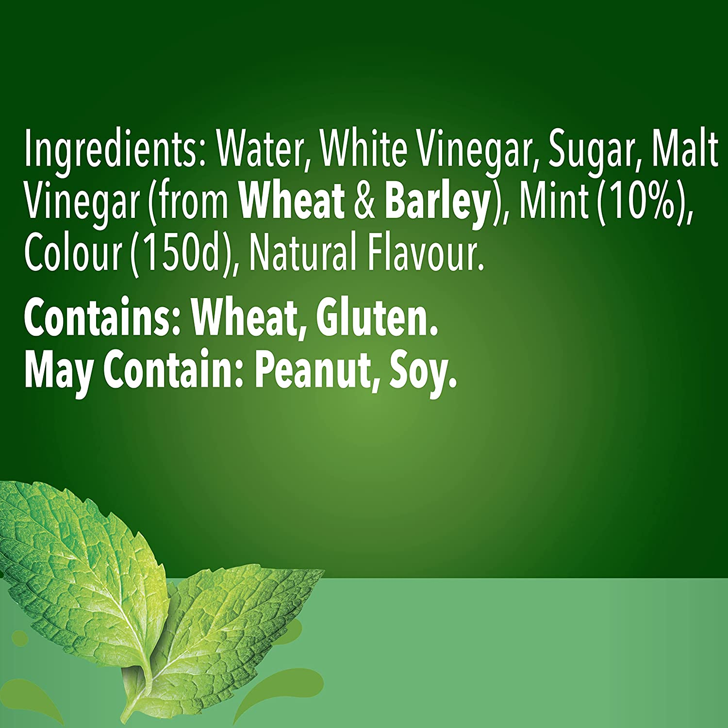 Fountain Mint Sauce Dipping and Marinade Fountain Sauces 250Ml