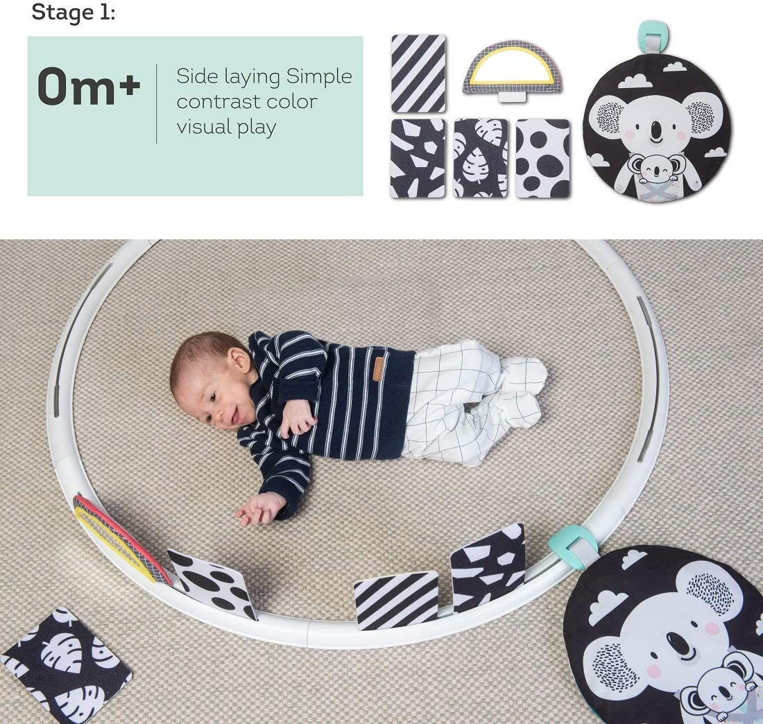 Taf Toys All around Me Activity Hoop | Developmental Hoop, Prefect for Newborns and Up, with 24 Developmental Activities. Designed to Promote Baby&rsquo;S Senses, Motor Skills and Cognitive Development image number 3