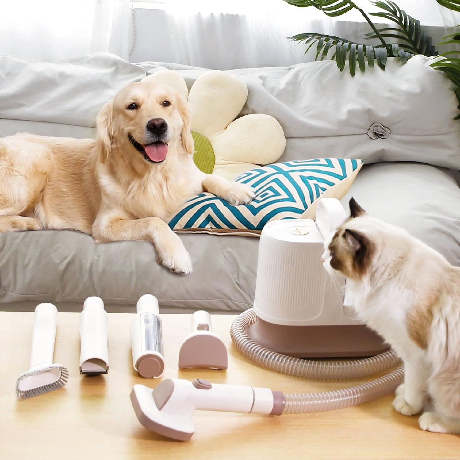 Pet Scene Dog Grooming Kit,6 in 1 Dog Grooming Vacuum Cleaner Hair Remover Clipper Deshedding Slicker Brush Trimmer Pro Groomer 3 Suction Levels,With 5 Professional Tools image number 6