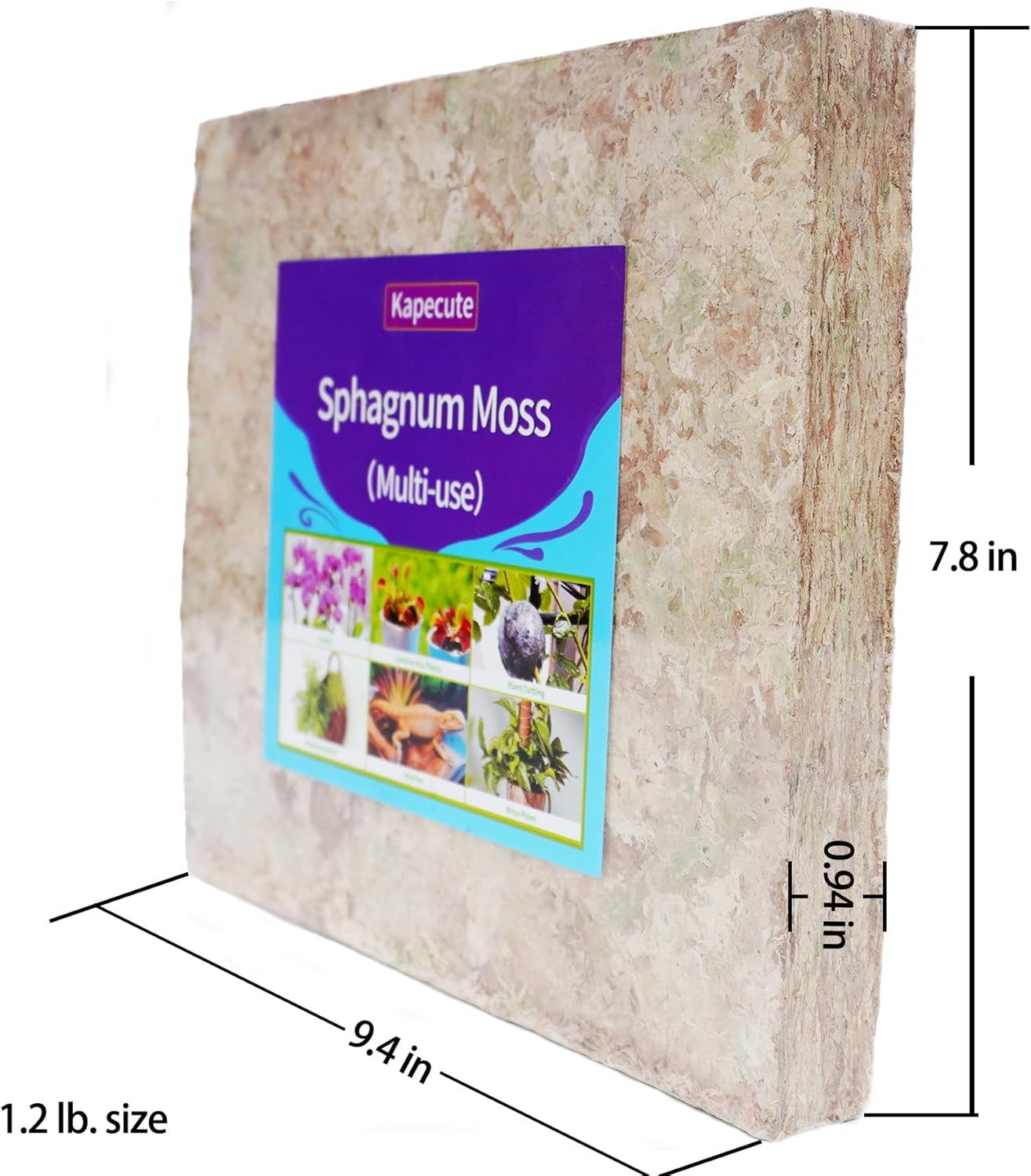 Kapecute 1.2Lb Sphagnum Moss for Plants, Great Orchid Potting Mix, Perfect Plant Root Moisture Retaining Medium image number 2