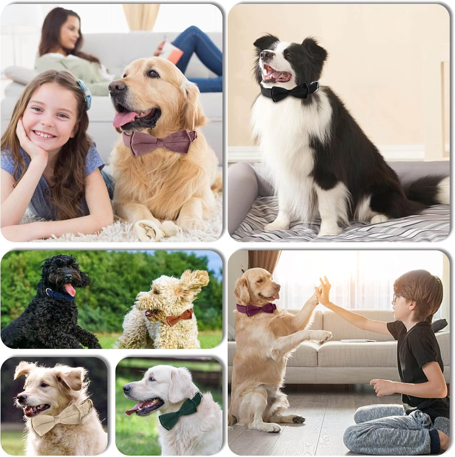 Asvin Dog Collar with Dog Bow Tie, Removable Dog Collar, Personalised Dog Collar, Zinc Alloy Link Buckle, Adjustable Dog Collar, for Dogs, Small, Medium, Large Dogs image number 4