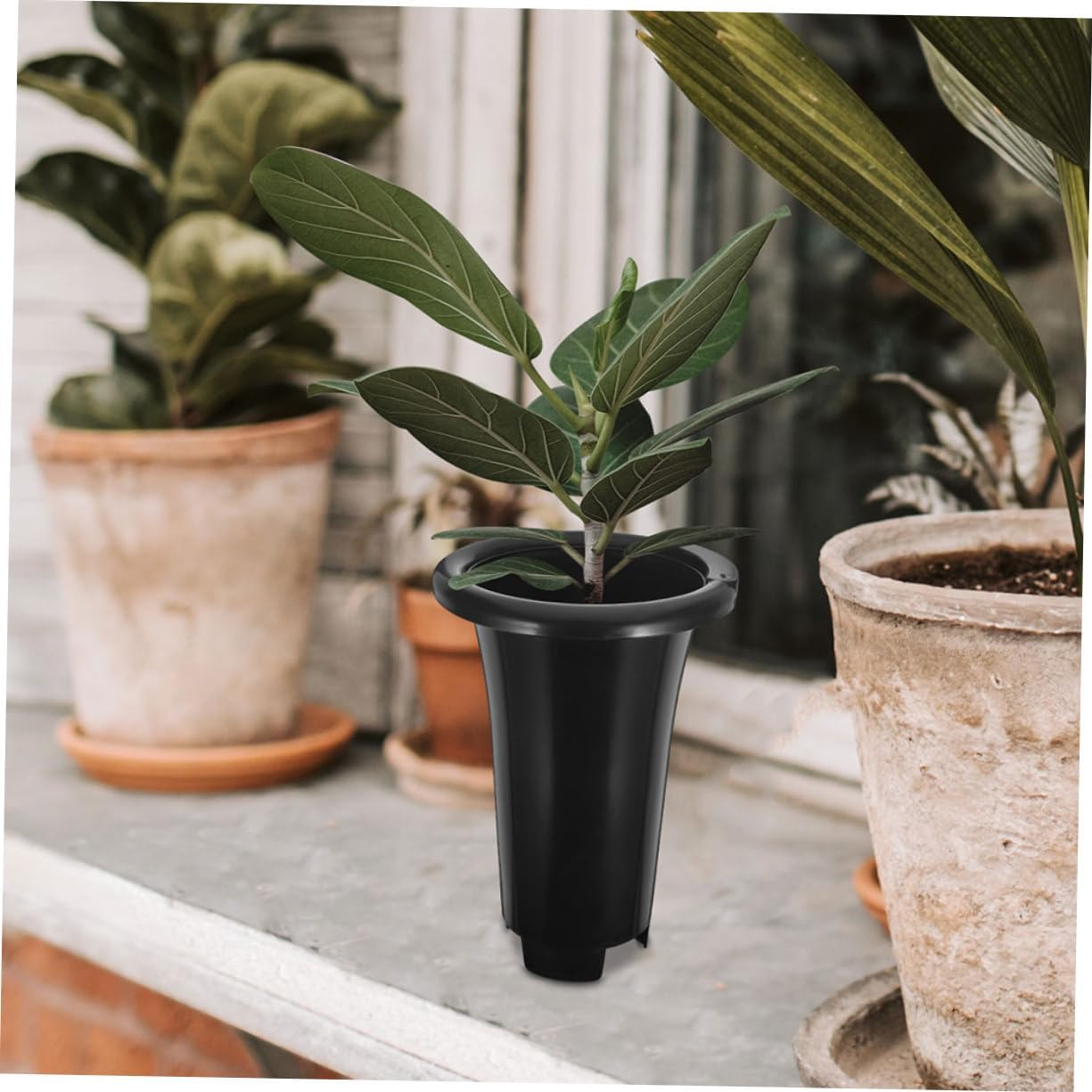10Pcs Black Plastic Plant Cultivation Pots for Orchids, Extra Large round Nursery Pots with Enhanced Height and Thickness, Breathable Drainage Design for Indoor Gardening image number 5