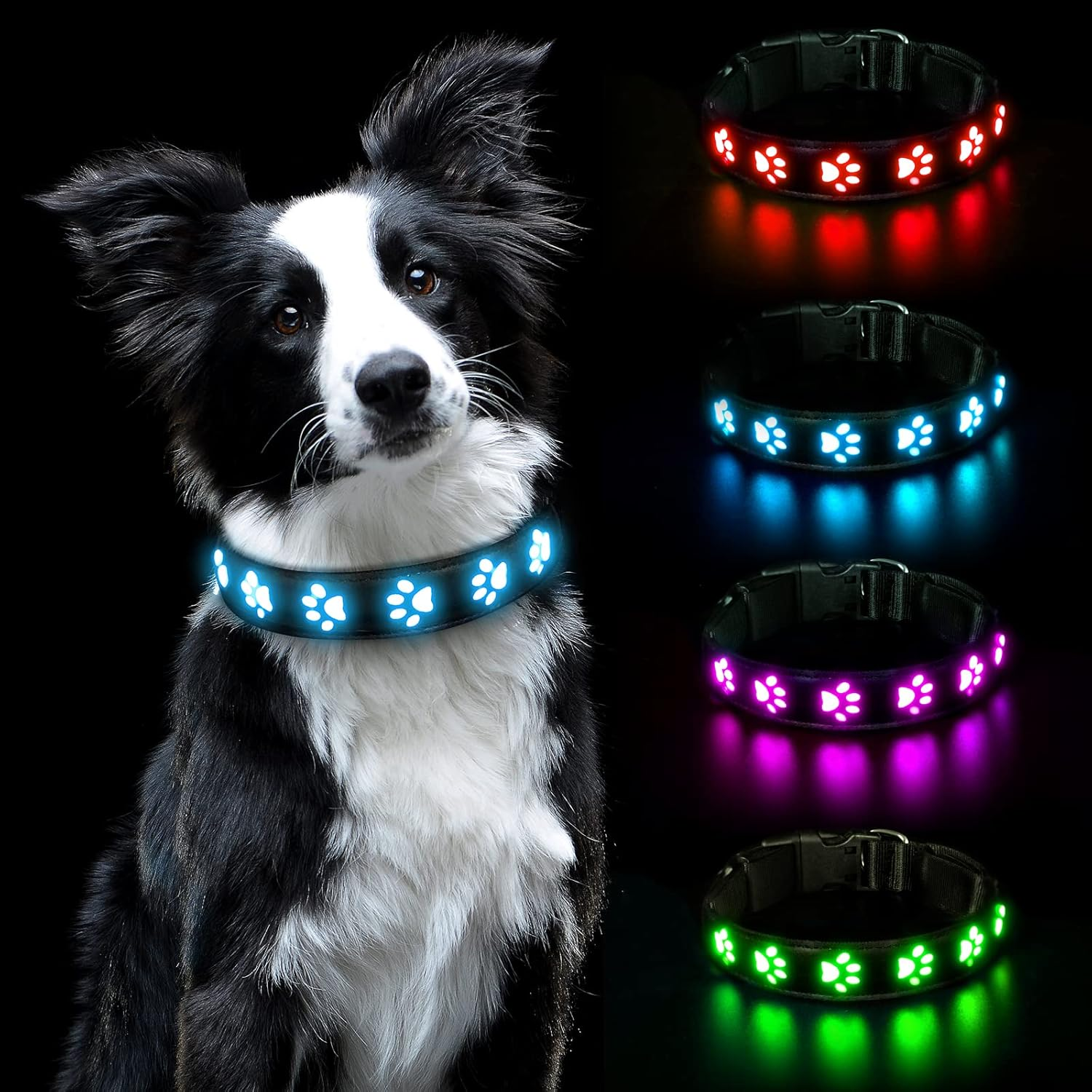 AUAUY Light up Dog Collar, LED Dog Collar Light USB Rechargeable, Waterproof Flashing PVC Leather Adjustable Glowing Super Bright Dog Light up Collar for the Dark Small Medium Large Dogs (Colorful-L)