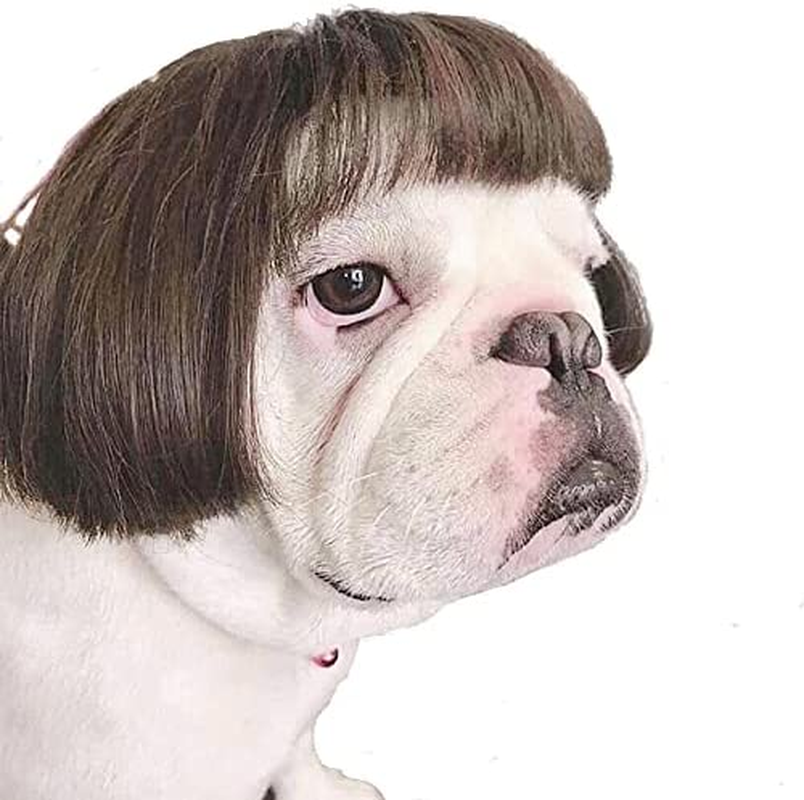 Funny Dog Cat Cosplay Wig, Pet Wigs for Halloween, Christmas, Parties, Festivals, Dog Wigs for Small Medium and Large Dogs (Black Brown Straight Hair) image number 1