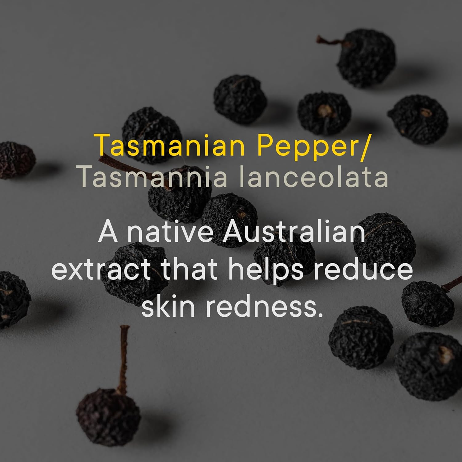 TOOLETRIES Superior Lather Men'S Body Wash Refill - Outback Bourbon Scent - Moisturising Shower Gel with Tazman Pepper - Extra Fresh, Paraben Free - 1L Pouch image number 2