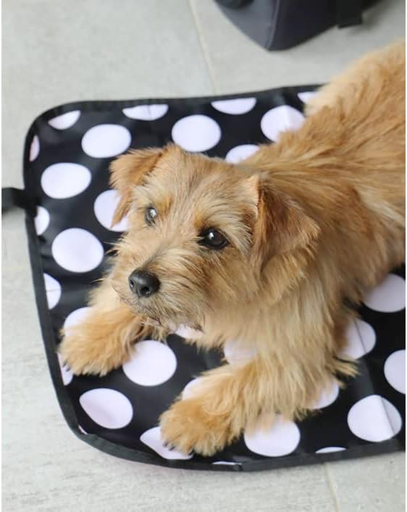 Hanna Hula Pet Cafe Mat Dog Cat Colorful Apple image number 5