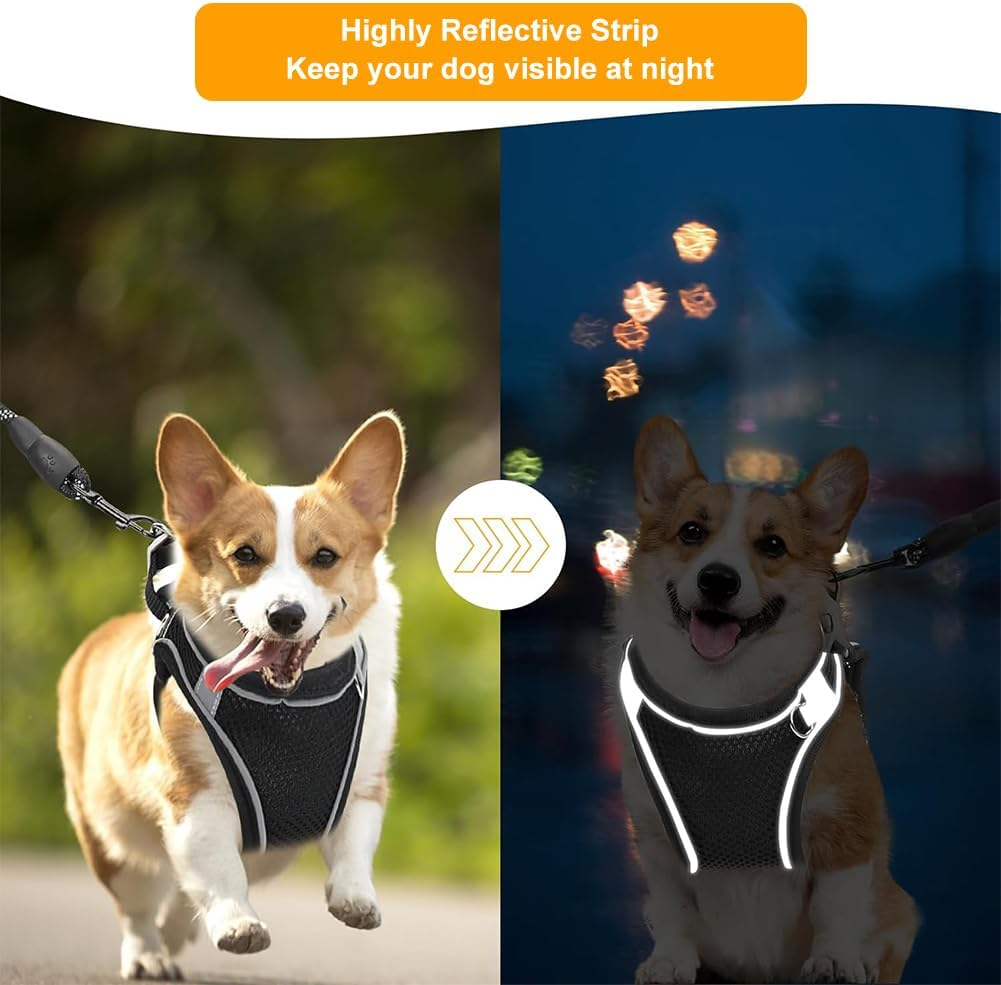 Dog Harness, Dog Harness, Small Dogs, Anti-Pull Dog Harness, Reflective Soft Padded Dog Harness, Chest Harness for Puppies, Puppy Harness with Lead image number 3