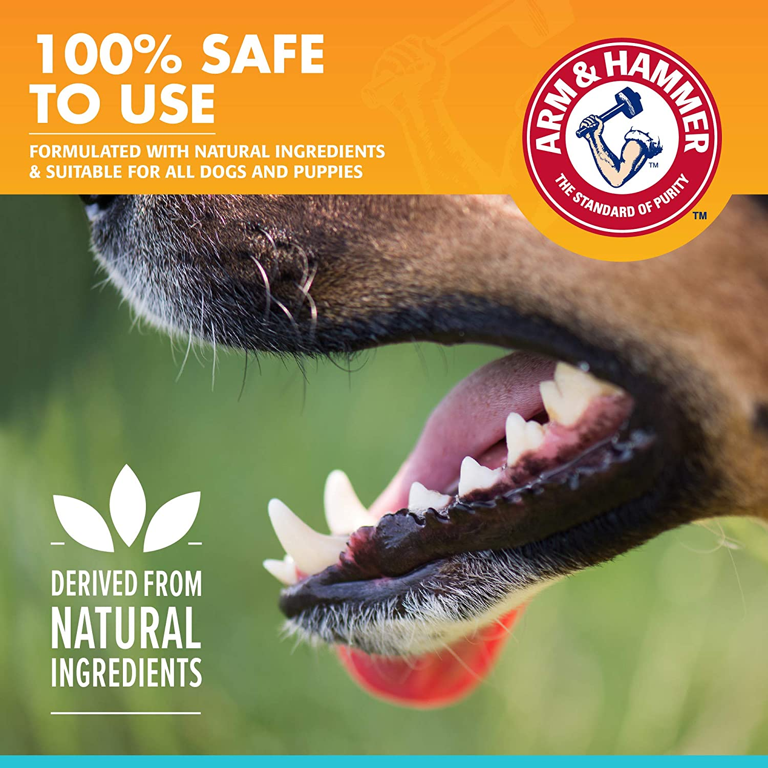 Arm and Hammer Advanced Care Dental Spray/Fresh Breath and Whitening for Dogs image number 1