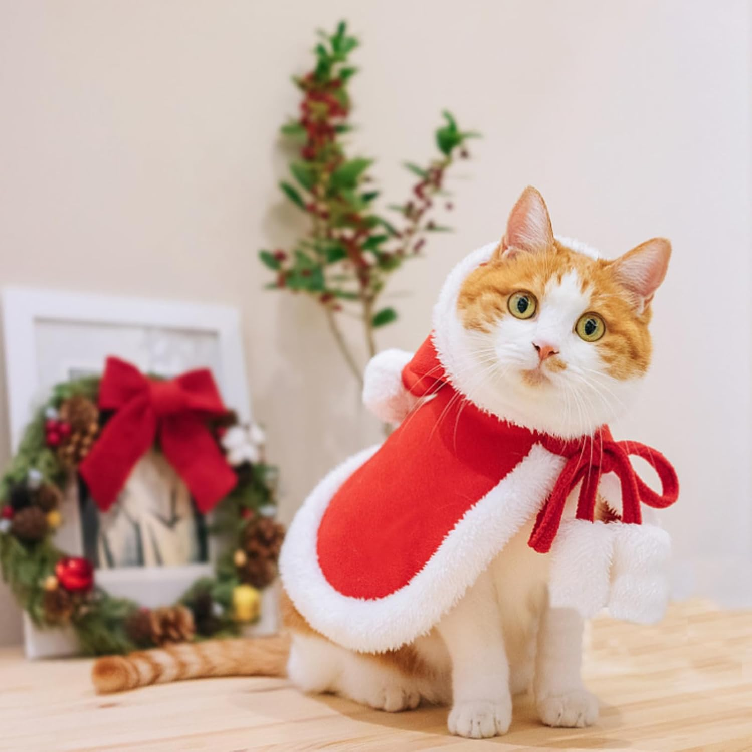 Cat Costume Christmas Costume Cats Dog Costume Red Plush Warm Christmas Clothing Pet Christmas Hat Adjustable Cape Christmas Party Winter Outfit image number 5