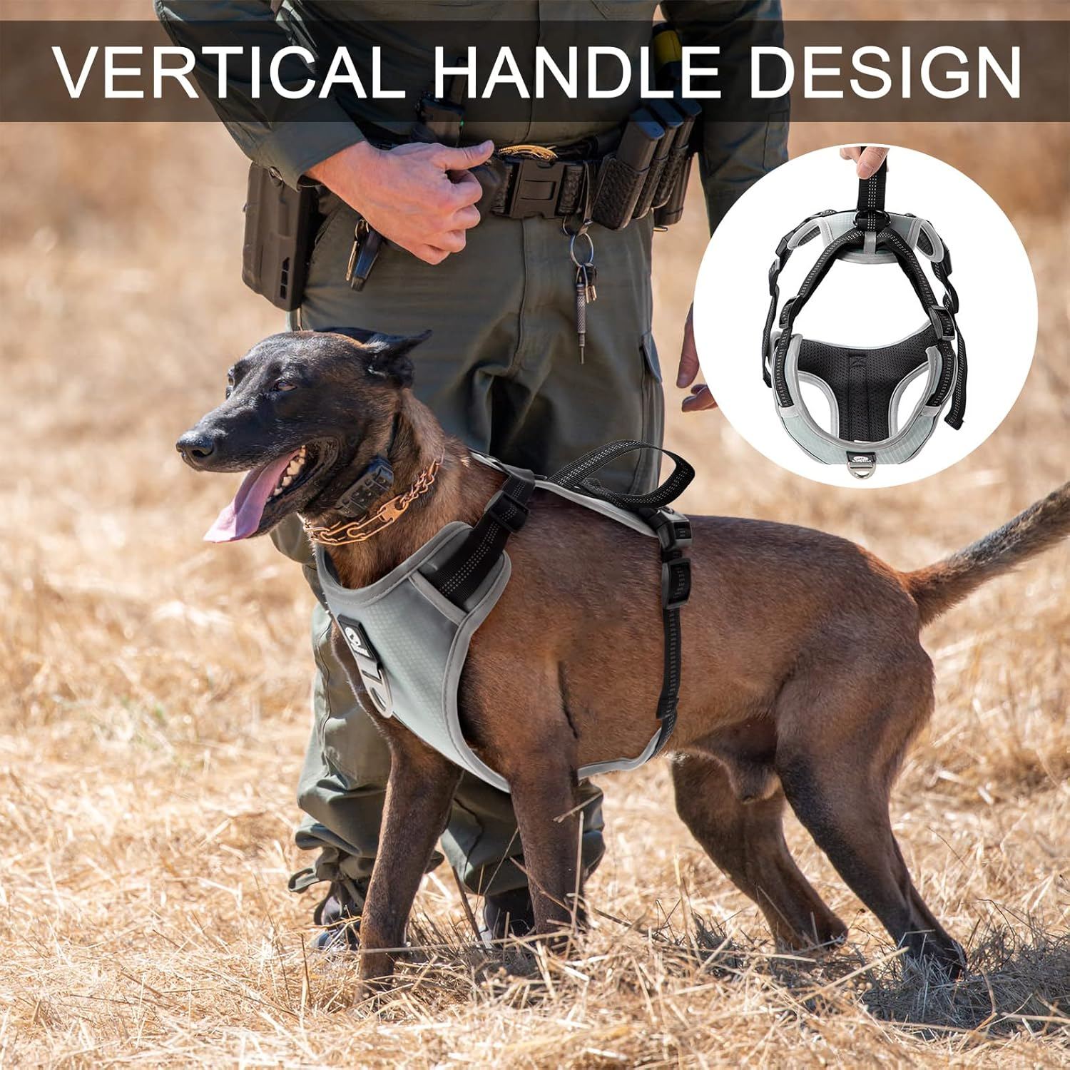 Dog Harness for Medium and Large Dogs, Anti-Pull Chest Harness, Adjustable, No Pull Safety Harness for Daily Training, Walking, Running