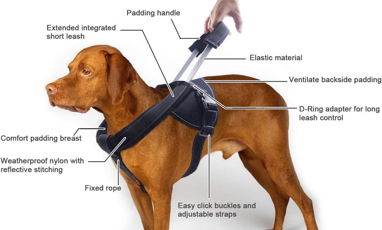 YOGADOG Heavy Duty Dog Harness for Medium and Large Dogs, No Pull Dog Vest Harness with Handle Extensible, Reflective Stitching (XL) image number 6
