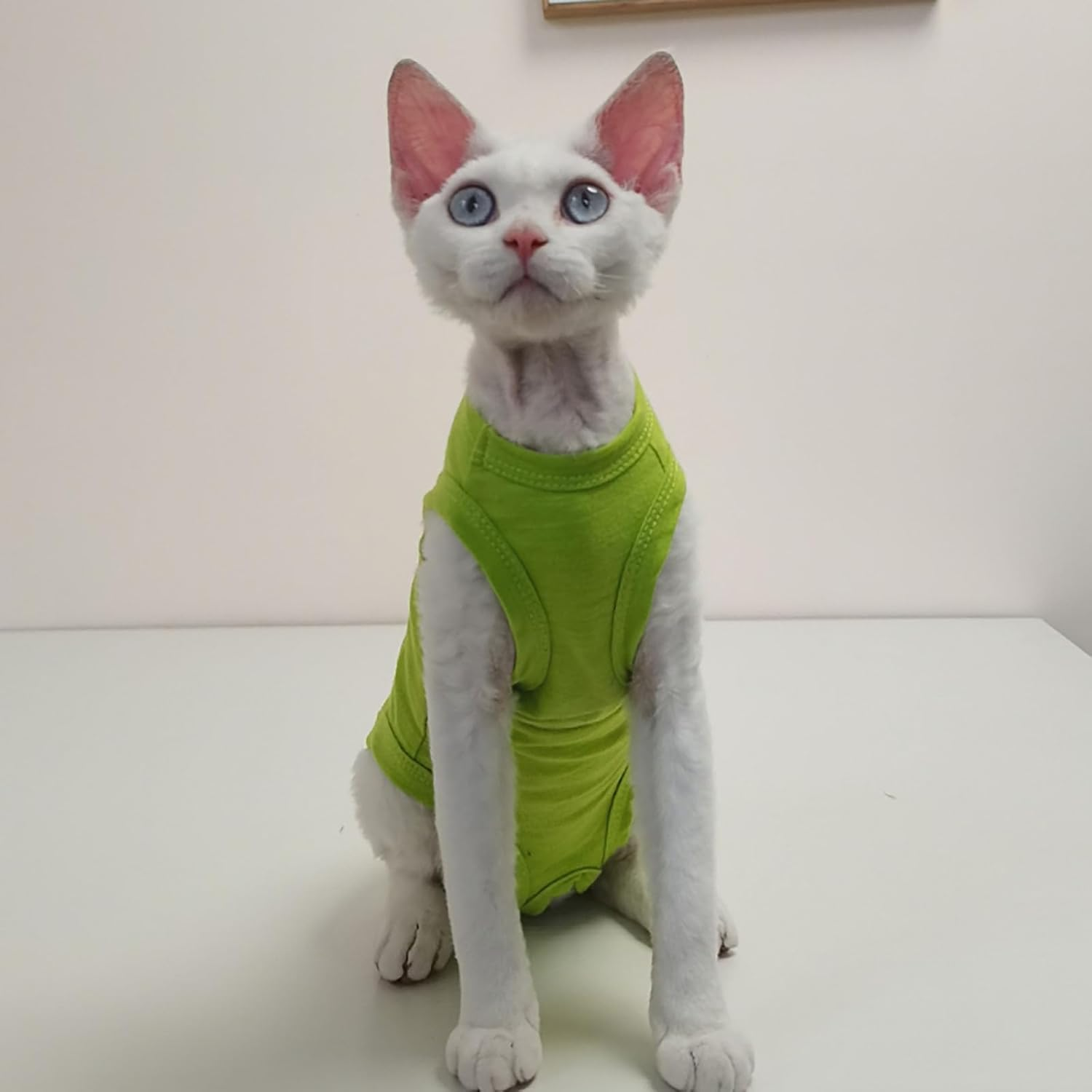 IUOUTG Hairless Sphynx Cat Clothes Breathable Four Leg Cotton Cat Pajamas Girl Kitten Pullover Vest Soft Boy Pet Clothes Kitten Shirts Cat Apparel for Cornish Rex Devon image number 2