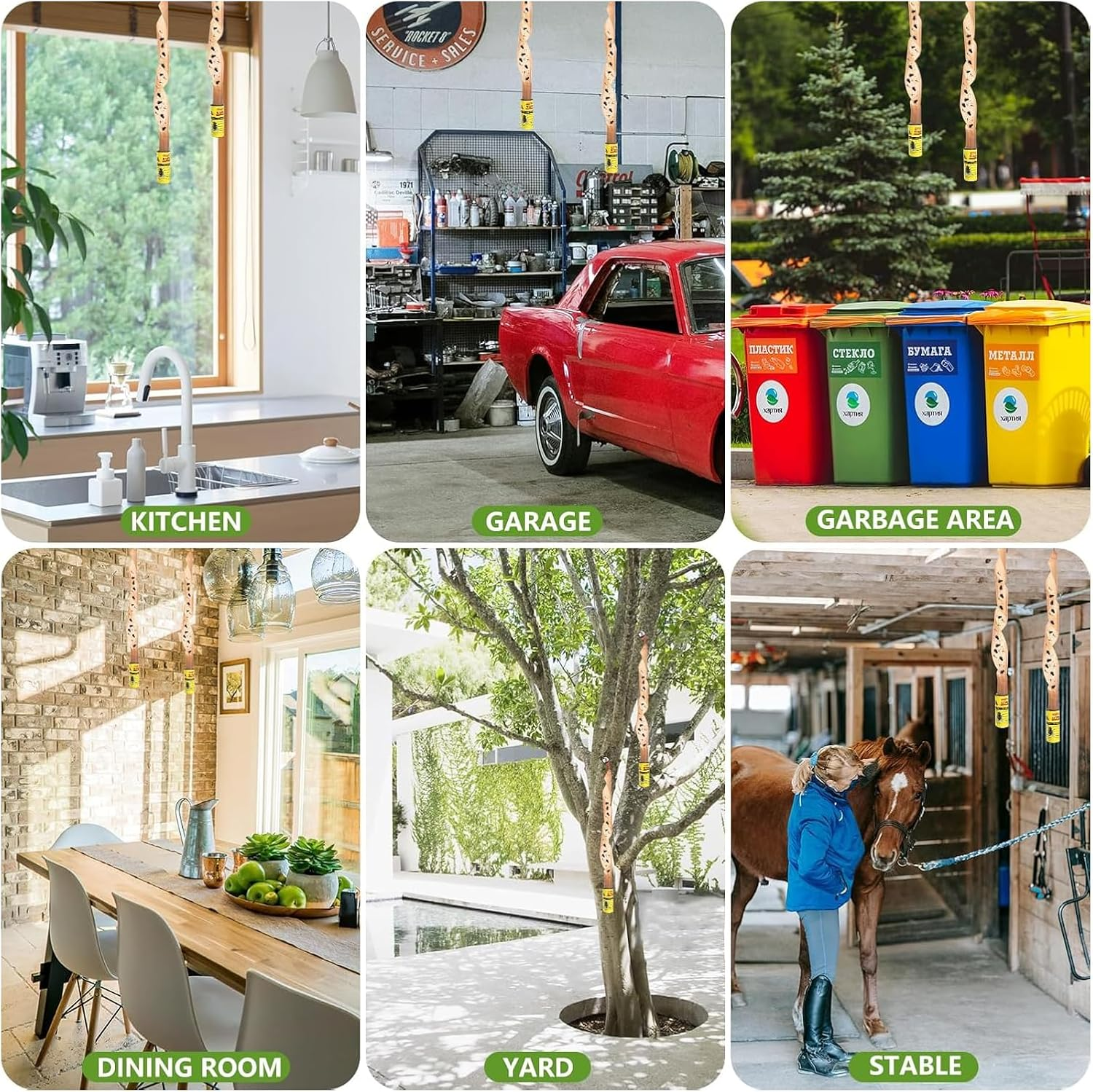 24-Pack Fruit Fly Trap,Reusable Fly Catcher Set,Super Sticky Fly Paper,Suitable for Indoor Trap Flies,Gnats,Non-Toxic & Effective image number 6