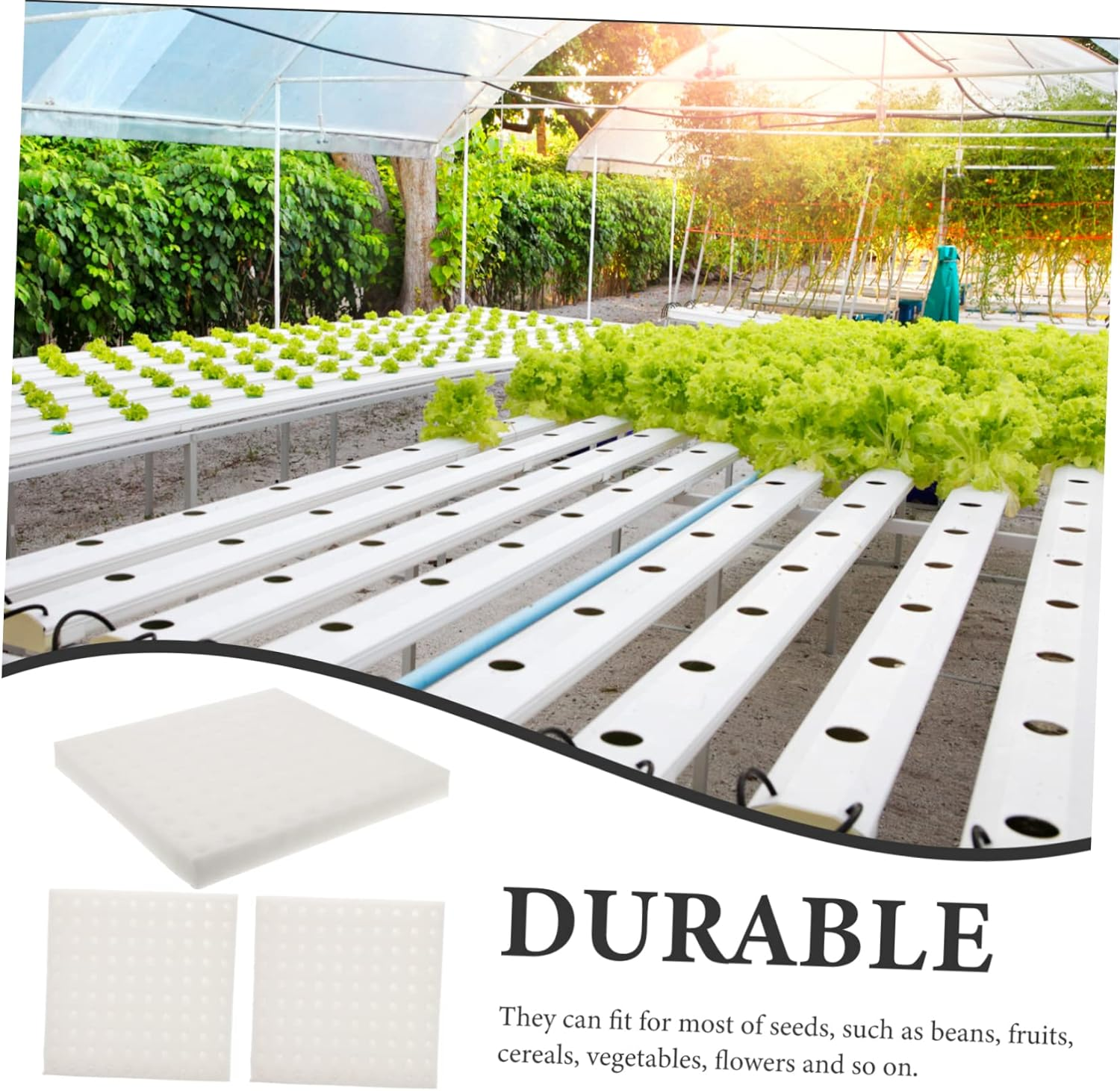FONDOTIN Hydroponic Sponge Seedling Blocks for Soilless Cultivation, 3 Sheets with 300 White Moisturized Cubes, Vegetable Planting Tray for Balcony and Indoor Gardening