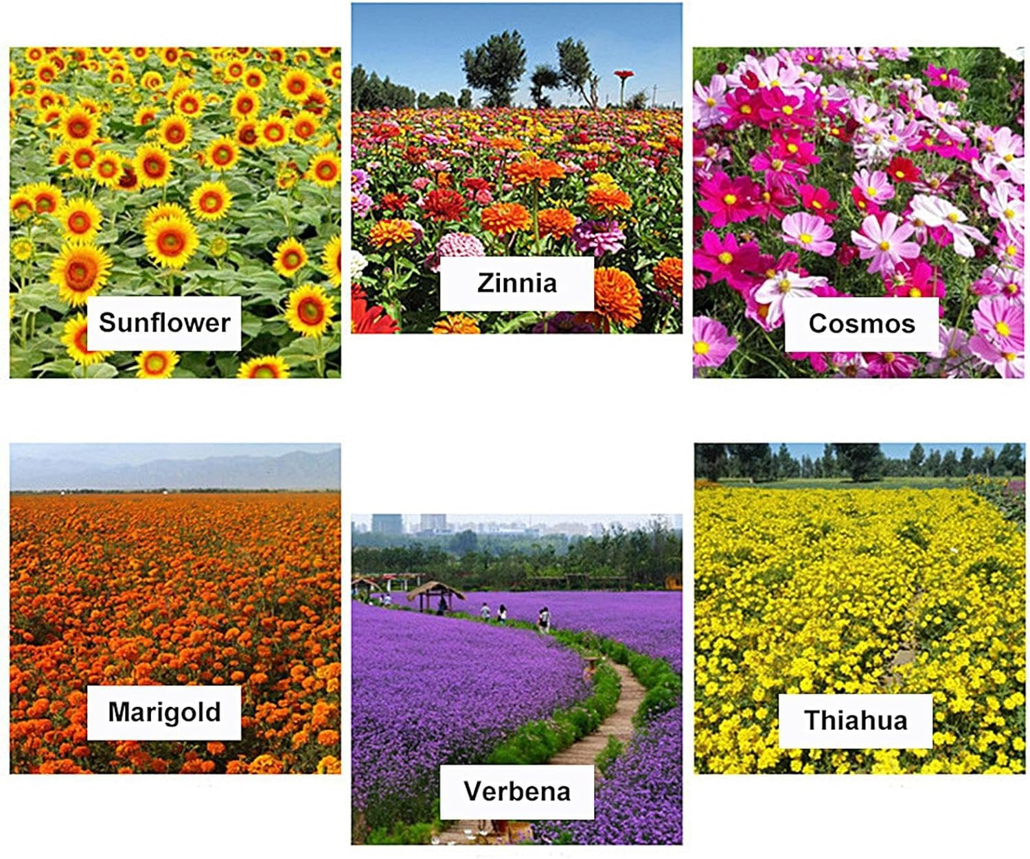 Aquatic Pond Soil | Natural Pond Mud with Nutrients | Plant Growing Media for Water Lilies, Gardening Supplies image number 3