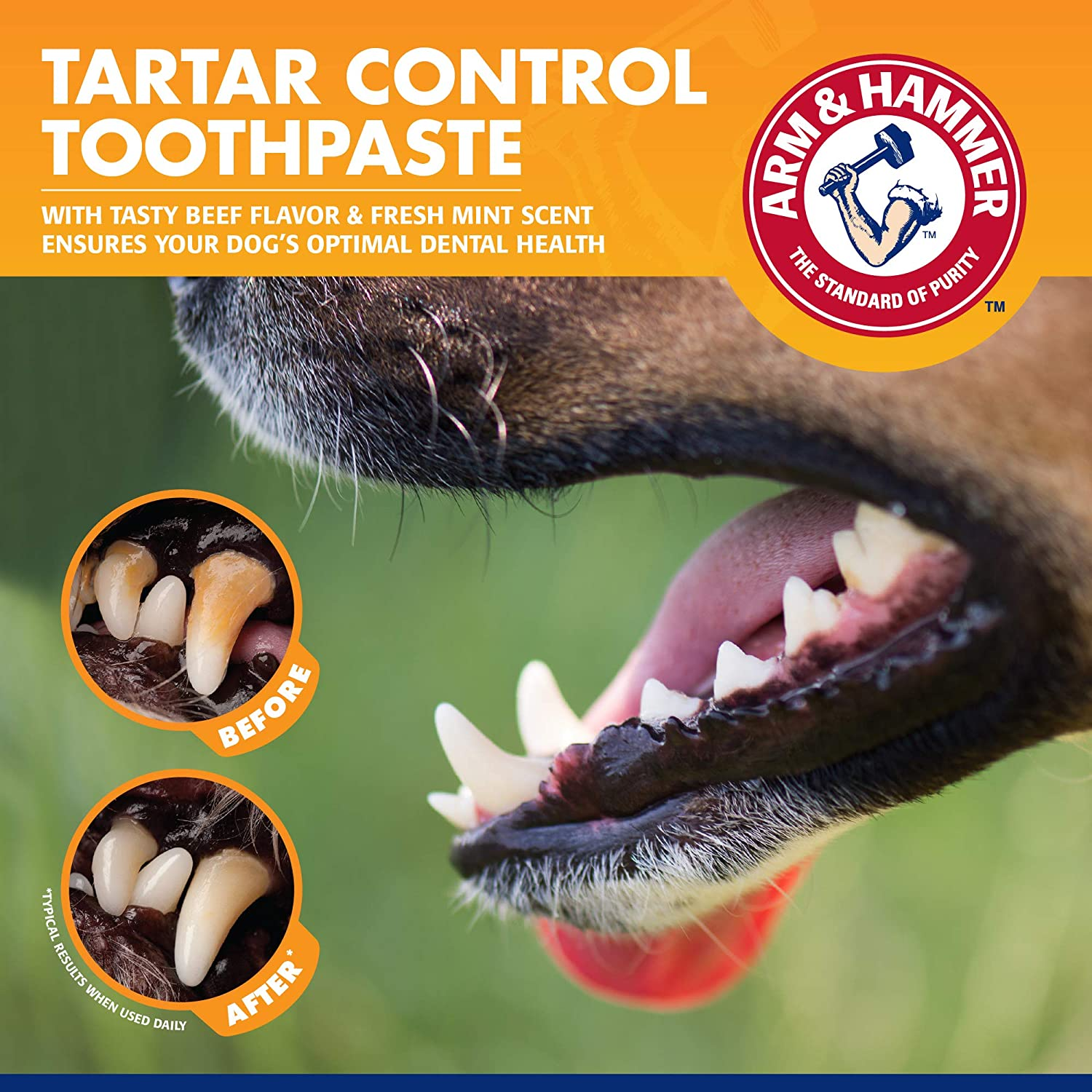 Arm & Hammer Beef Flavor Tartar Control Dental Kit for Dogs image number 3