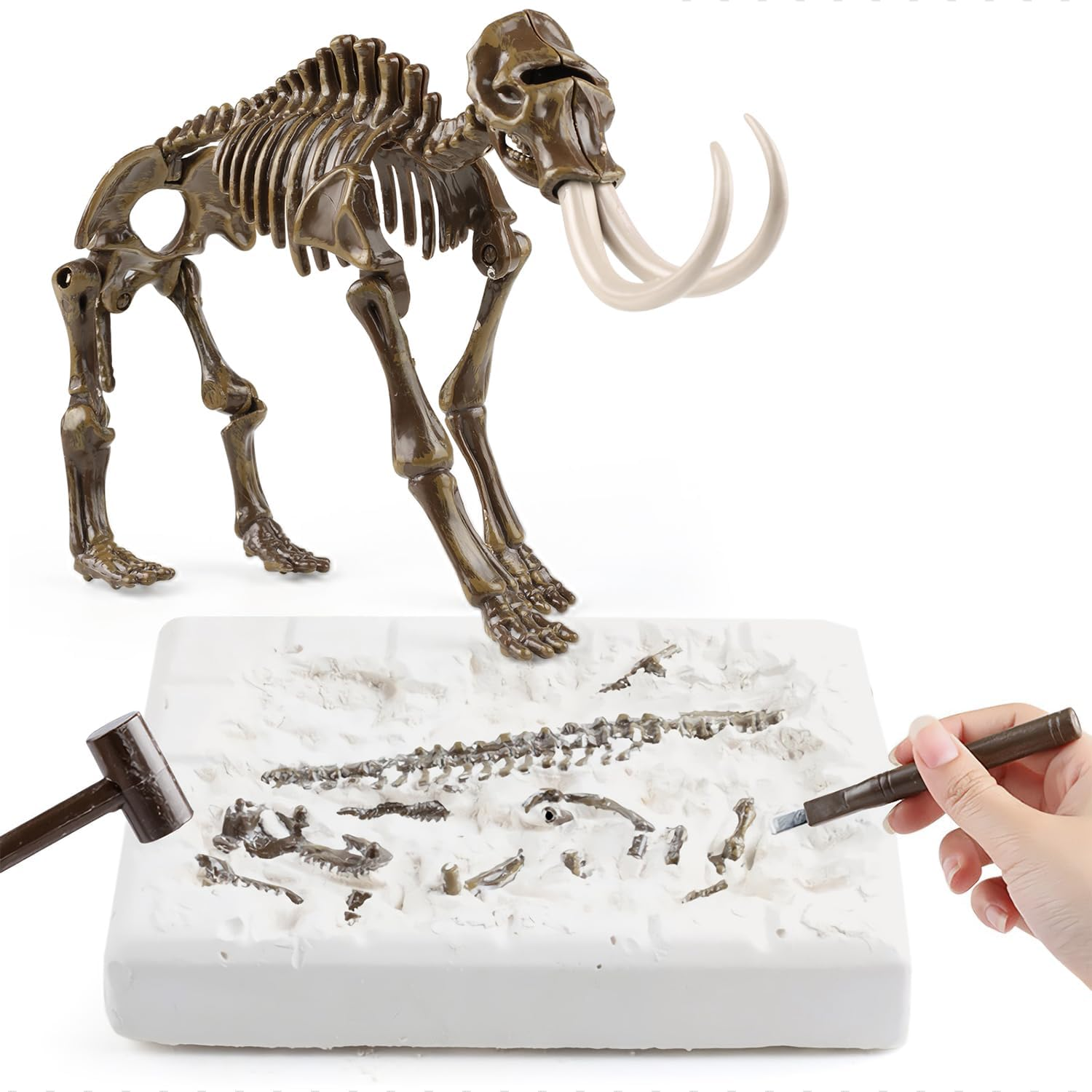 Kids Archeology Dinosaur Bones Digging Kit, Dinosaur Fossil Dig Kit for Kids (Mammoth) image number 3