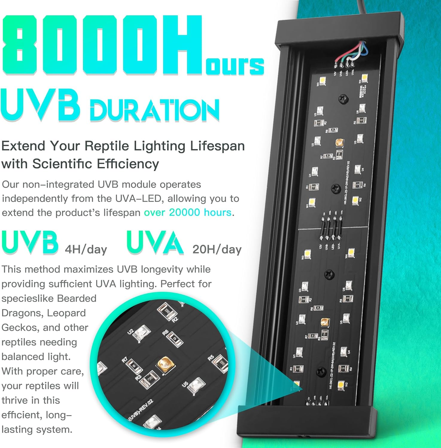 Dimmable LED Reptile UVB Lamp, 8000 Hours UVB Duration for Much Longer Lifespan, Adjustable 4/8/12-Hour Cycles, Suitable for Gecko, Chameleon, and Bearded Dragon, 8W, M Size image number 5