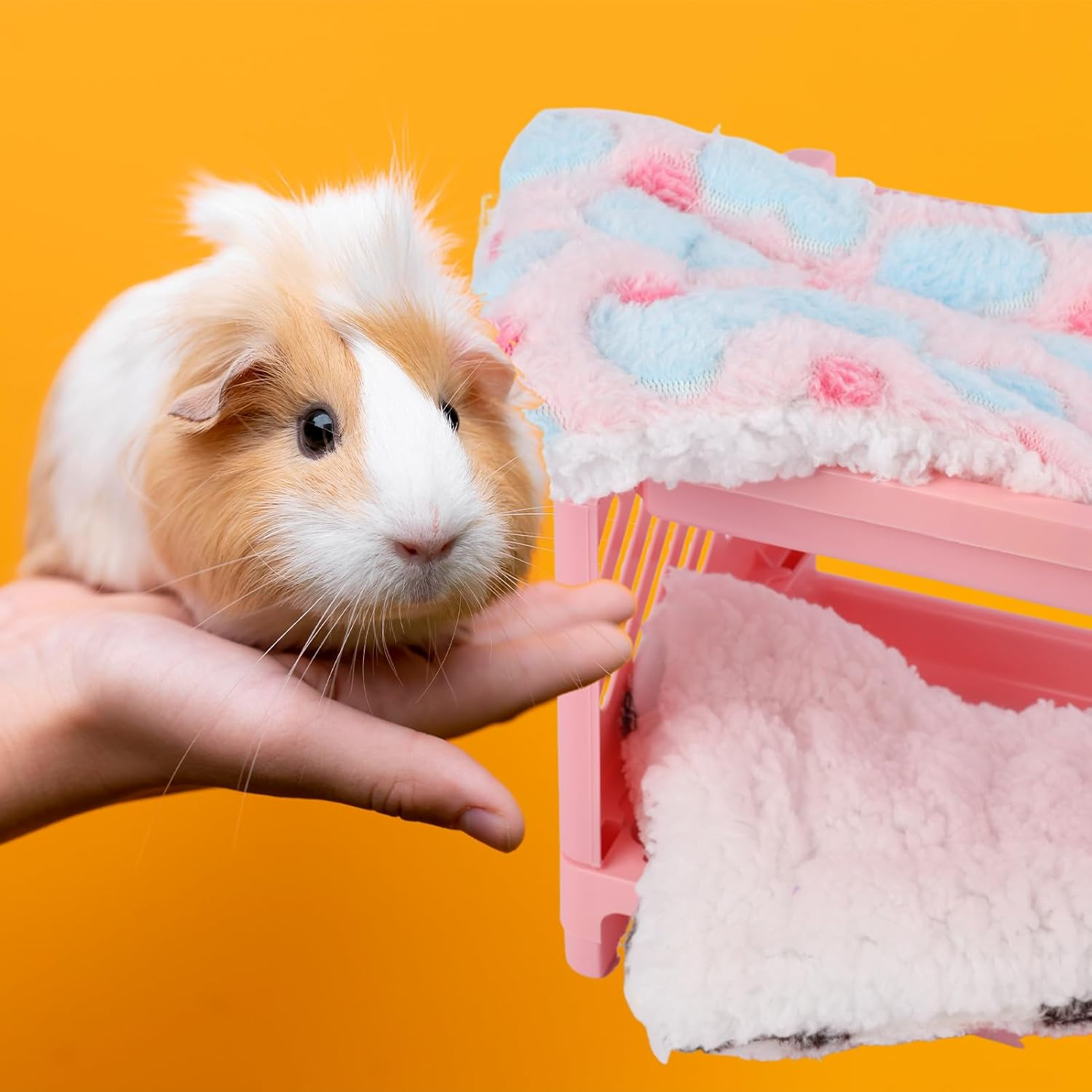 Double Layer Bed with 2 Blankets, 9" Plastic Guinea Pig Hideout, Cage, Small Animal, Corner Hide, Guinea Pig Accessories image number 1