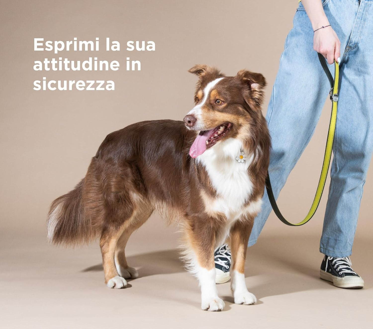 My Family Charms Daisy ID Tags for Pet image number 5