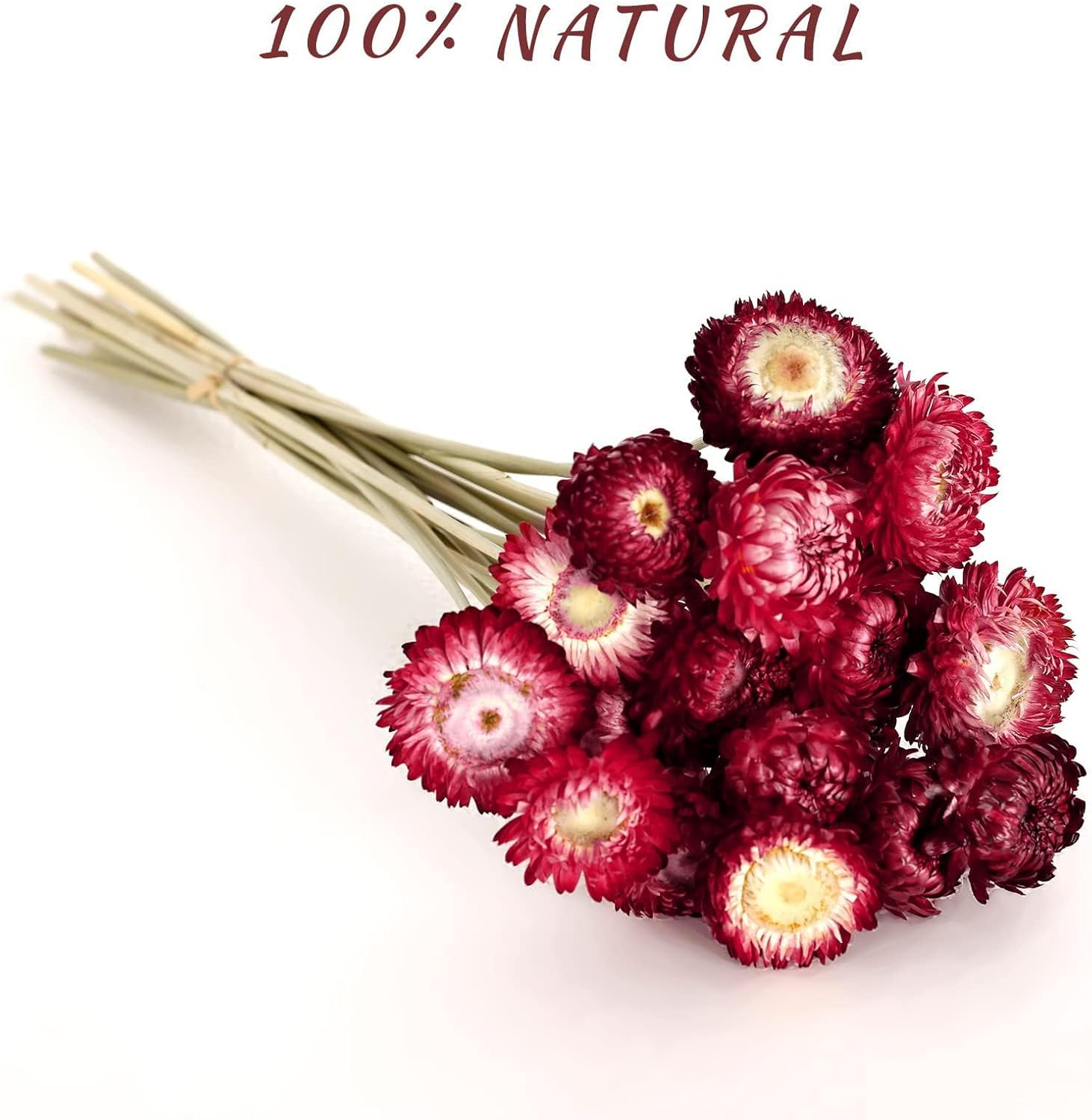 MIHUAGE Dried Flower 40PCS Daisy Bouquet 100% Natural Chrysanthemum Dry Flower with Stem for Vase Home D&eacute;cor Party DIY Arrangement Wheat Straw Bulk (Burgundy) image number 6