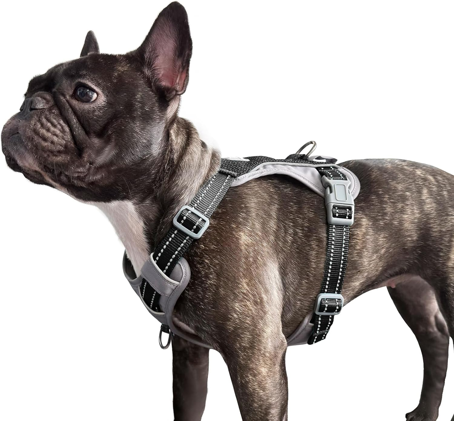 Huntboo No-Pull Dog Harness, Fully Reflective Vest with 2 Leash Clips, No-Choke, Adjustable, Breathable & Durable for Small, Medium & Large Dogs Walking, Training, Running (Light Pink, L)