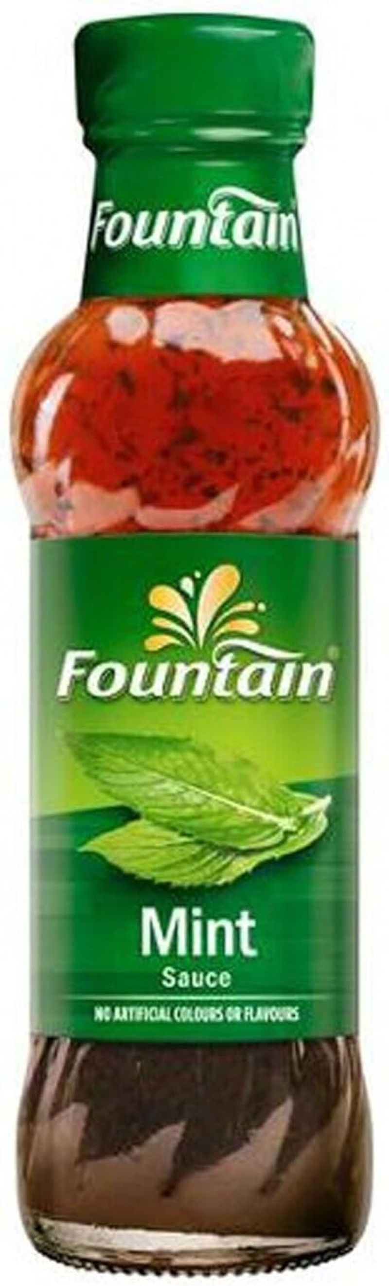 Fountain Mint Sauce Dipping and Marinade Fountain Sauces 250Ml - 250 Milliliter