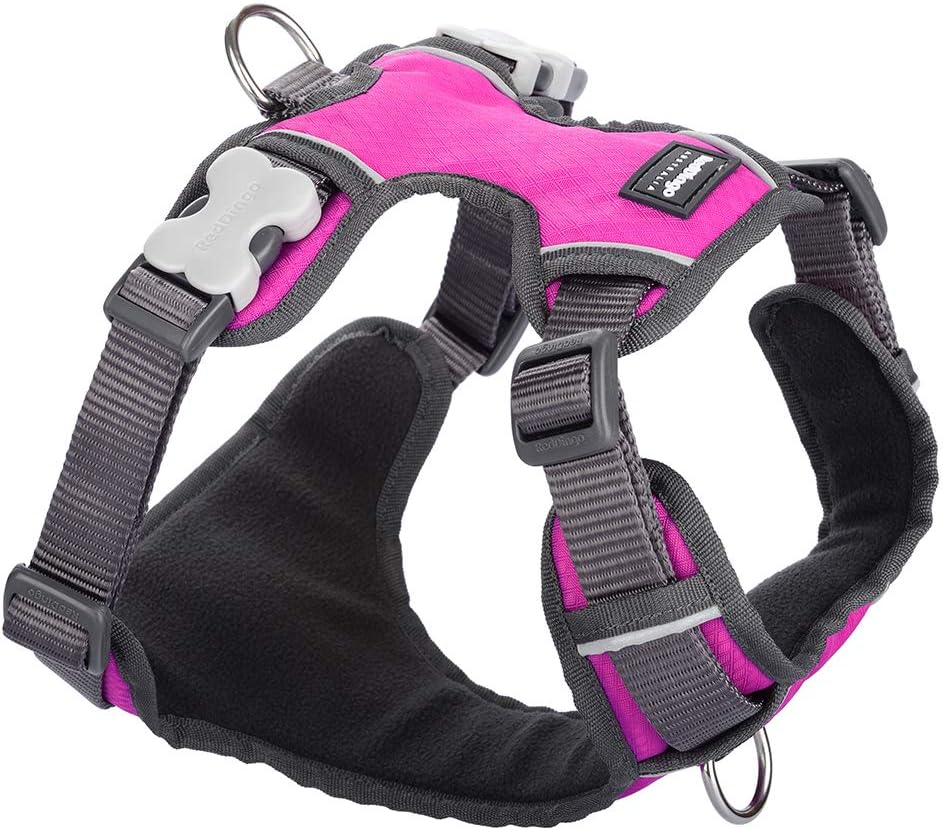 Red Dingo Padded Dog Harness, Hot Pink, X-SMALL