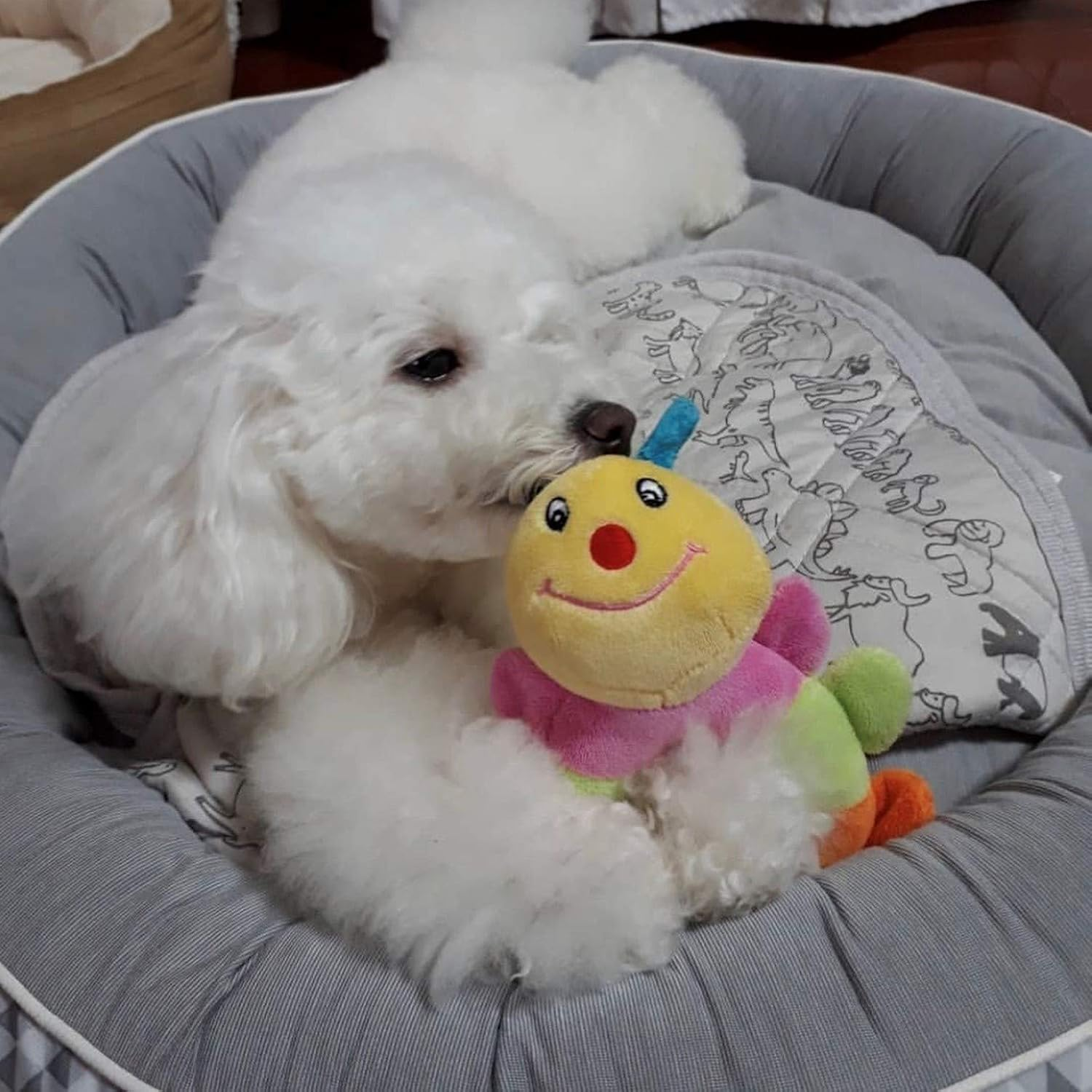 [PLATZ PET SUPPLIES & FUN] Dog Toy, Caterpie Baby Ring image number 2