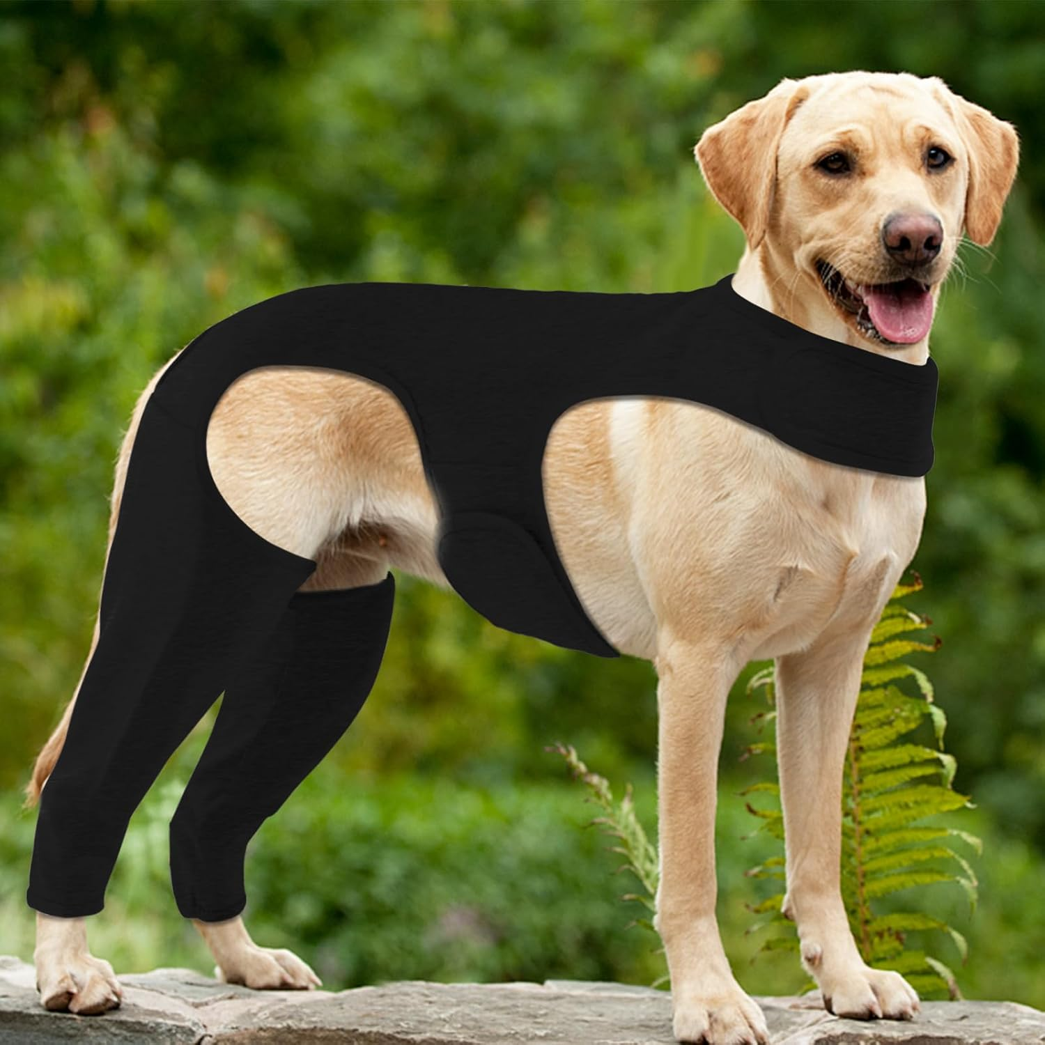 Yoolhamy Dog Surgery Recovery Suit - Leg Wound Protector Brace, Elbow Protector Cone Alternative - Prevent Licking & Bite - Long Sleeve Suits - Leg Brace Support (Black, XS) - Black image number 5