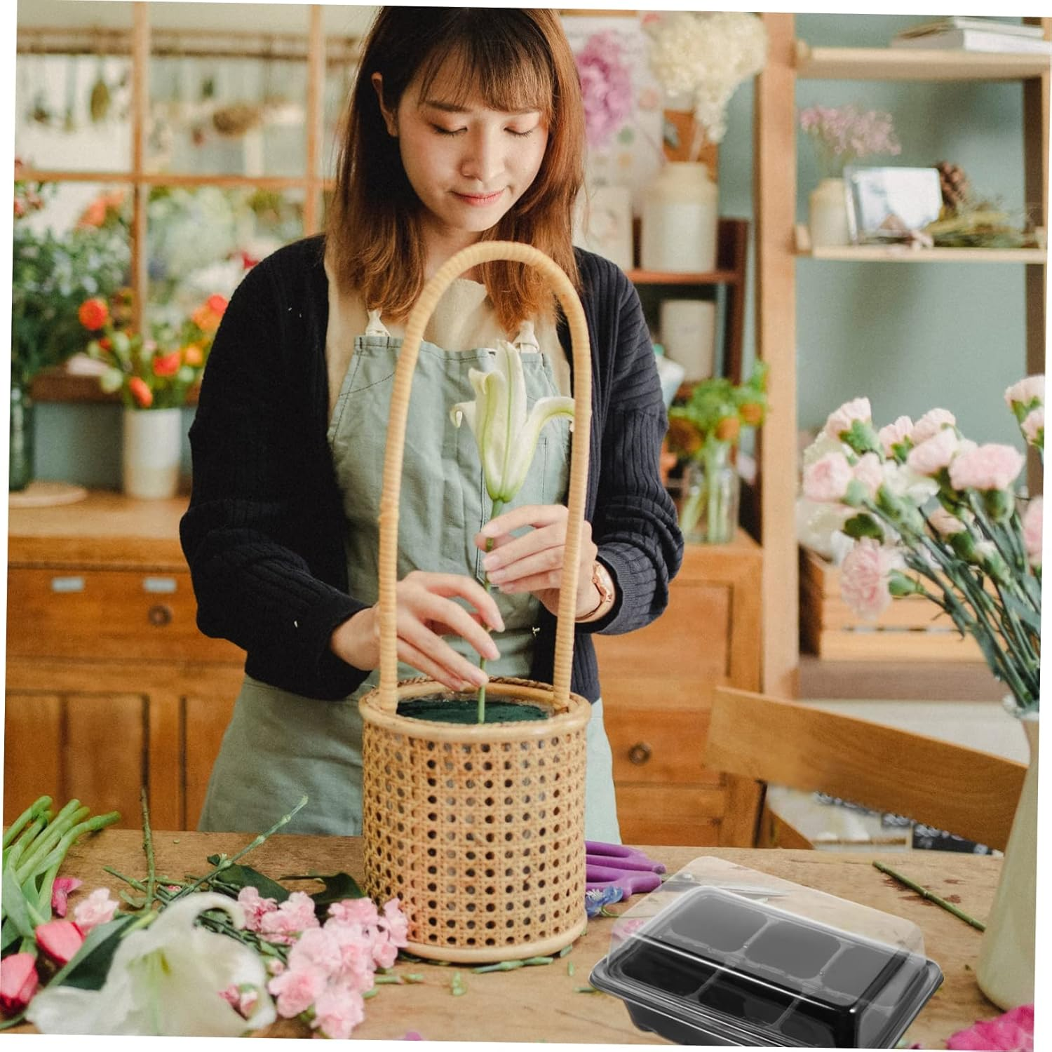 Garden Propagator Set 10 Pack Trays Lid and Bottom Holes for Healthy Plant Growth image number 6