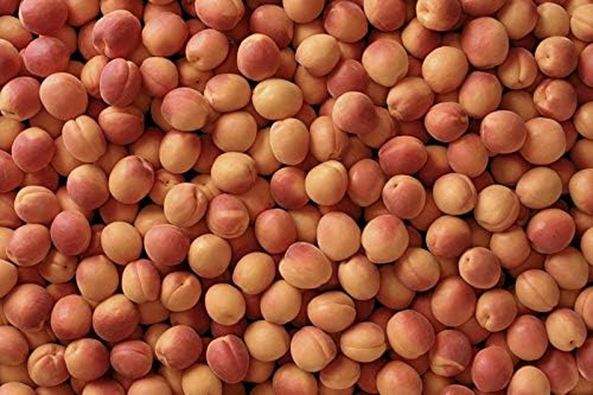 St Ives Fresh Skin Scrub Apricot, 150Ml