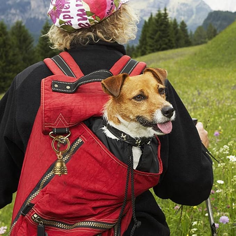 4Pcs Copper Collar Bell for Small Pet, Bell for Cats and Small Dogs Pet Anti-Lost Pendant image number 3