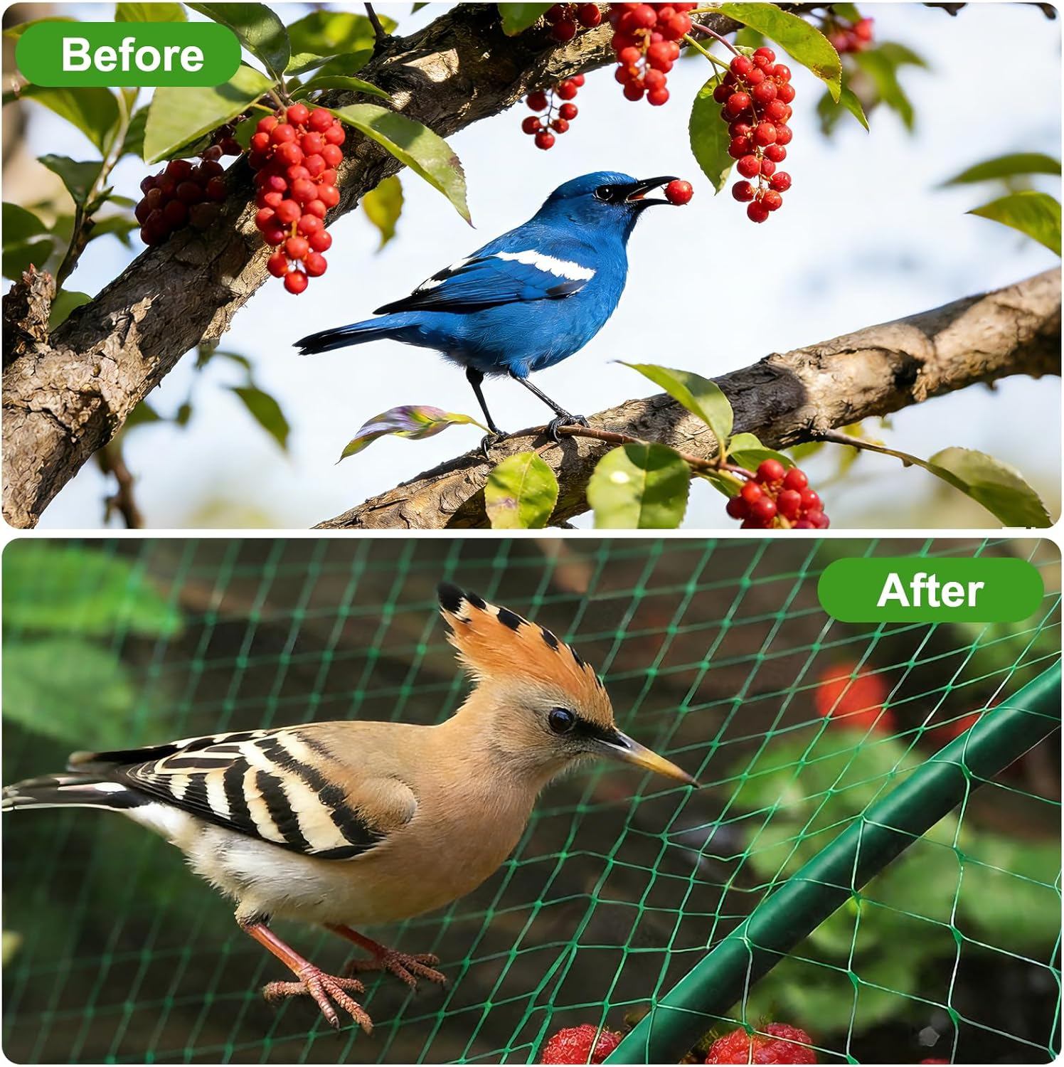 4M X 12M Bird Netting for Garden, Plant Netting for Protecting Plants, Flowers, Vegetables and Fruits,Green image number 3