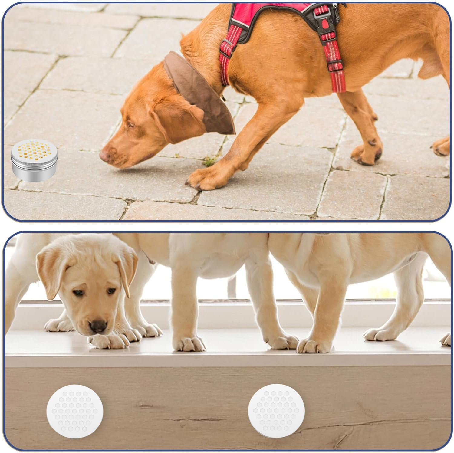 IONPSHG Dog Scent Work Tins,12Pcs Dog Scent Training Kit, Dog Scent Training Box Police Dog Nose Work Containers round Smell Training Canisters Aluminum(Silver) image number 2