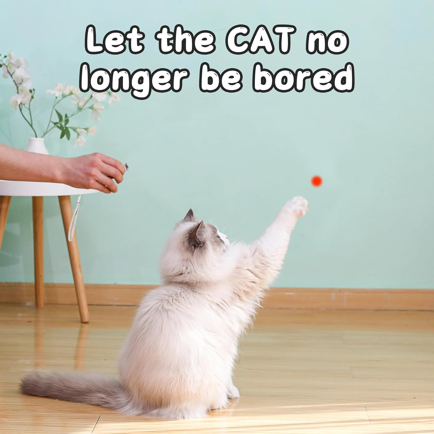 Cat Laser Pointer Toy with Catnip Pillow, Interactive Cat Toy for Indoor Play & Exercise, 1 Pack 2 in 1 LED Pointer Cat Toys for Cat Owners image number 6