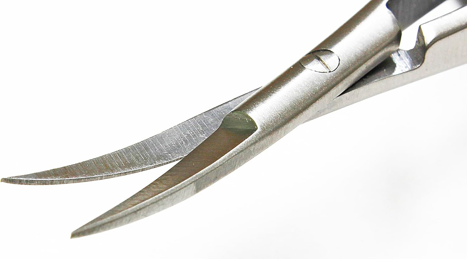 @ Scissor Spring/Curve image number 1