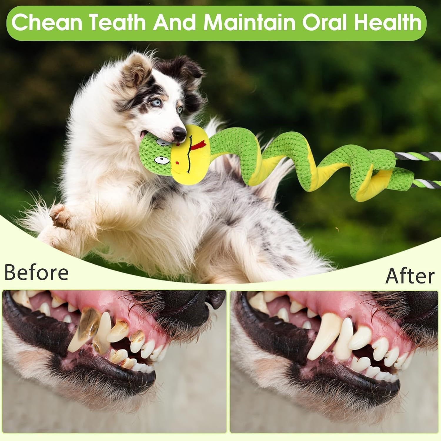 Chew-Resistant Dog Rope Toy with Squeaker & Crinkle Paper | Interactive Puppy Toys for Anxiety Relief & Dental Care | Tough Chew Toys for Small, Medium, and Large Dogs image number 2