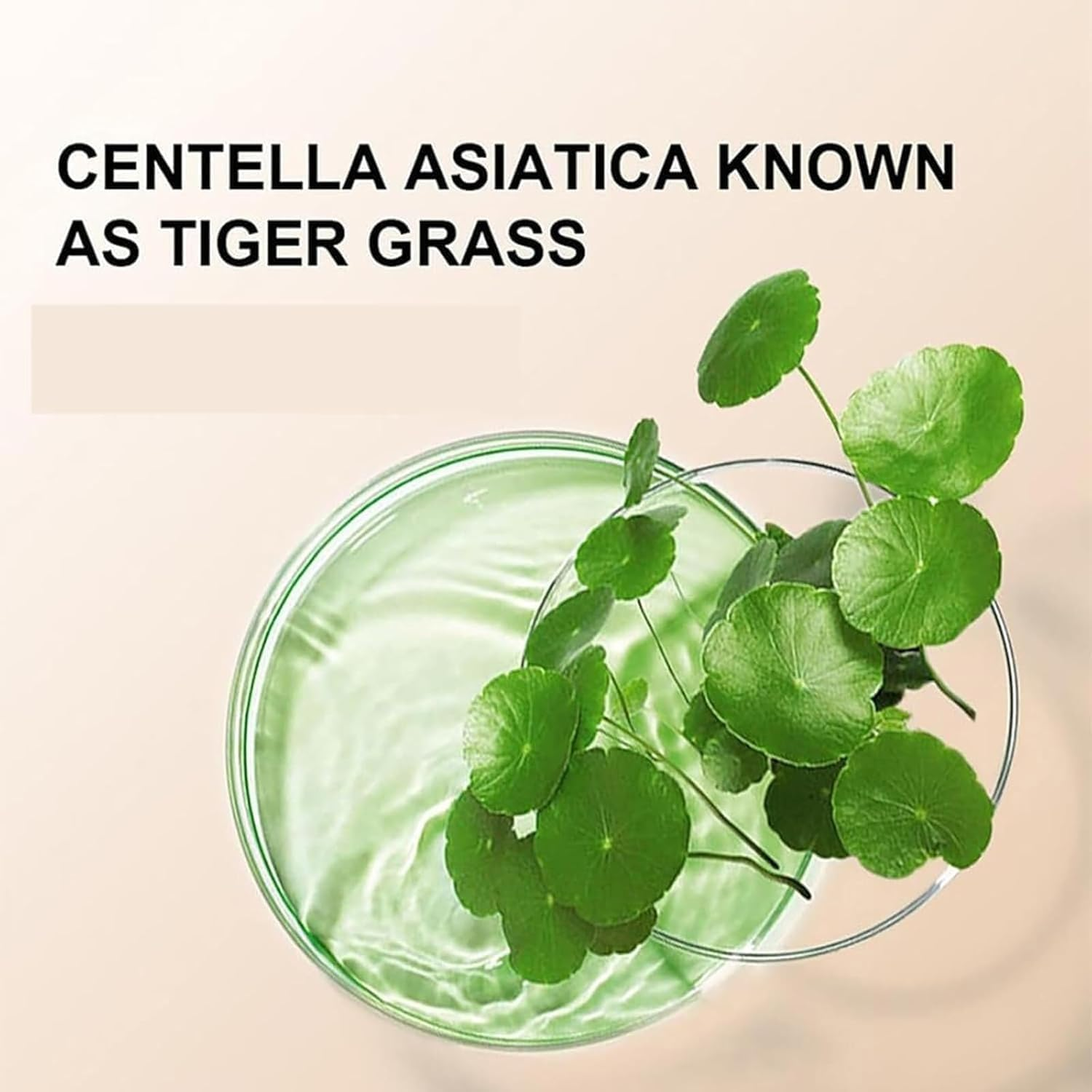 Korean Color Changing CC Cream, Rich in Centella Asiatica Color Changing CC Cream Multi-Function Color Changing Moisturizing Foundation Waterproof Long-Lasting Makeup (1.5Oz) image number 5