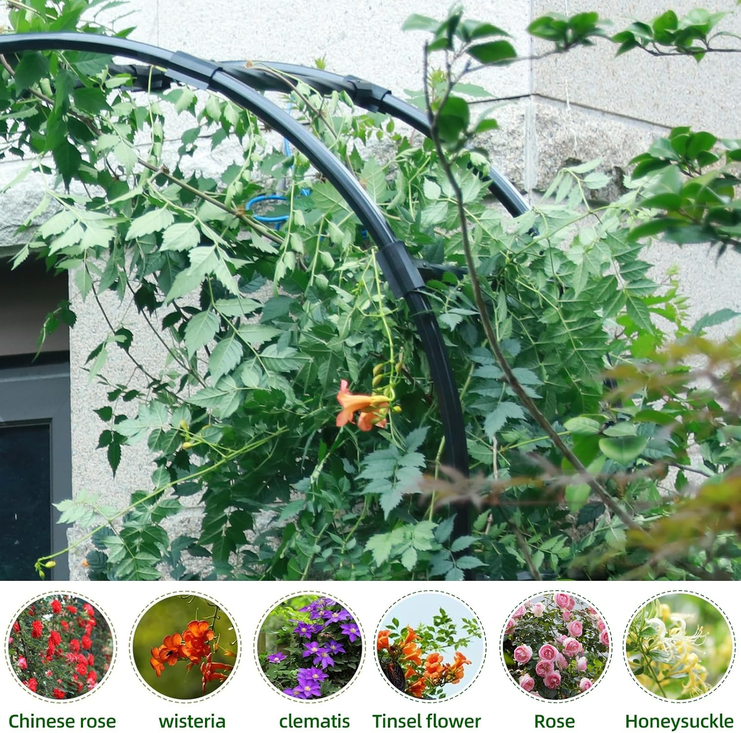 Half Sided Arch BUKLIYN against the Wall Garden Arch Trellis - 94.5In Iron Garden Arch Arbor Trellis for Climbing Plants Outdoor - Garden Arch Trellis Arbor for Home Yard and Garden image number 1