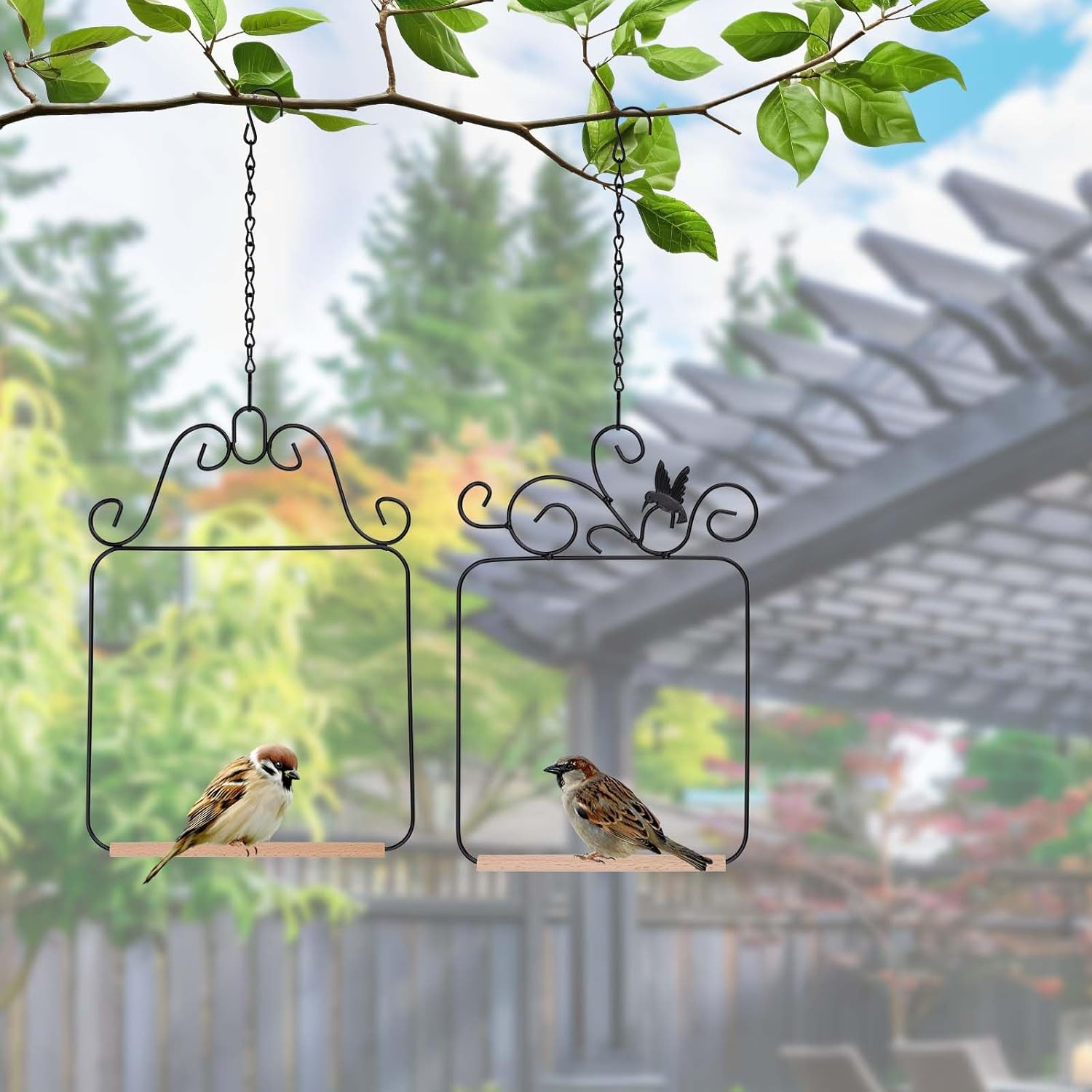2PK Hummingbird Swings and Perches, Metal Frame Bird Swing with Wooden Dowels and Hanging Chains Bird Cage Accessories for Garden Patio Window Trunk Lawn Tree Branch Decoration (Black) image number 6