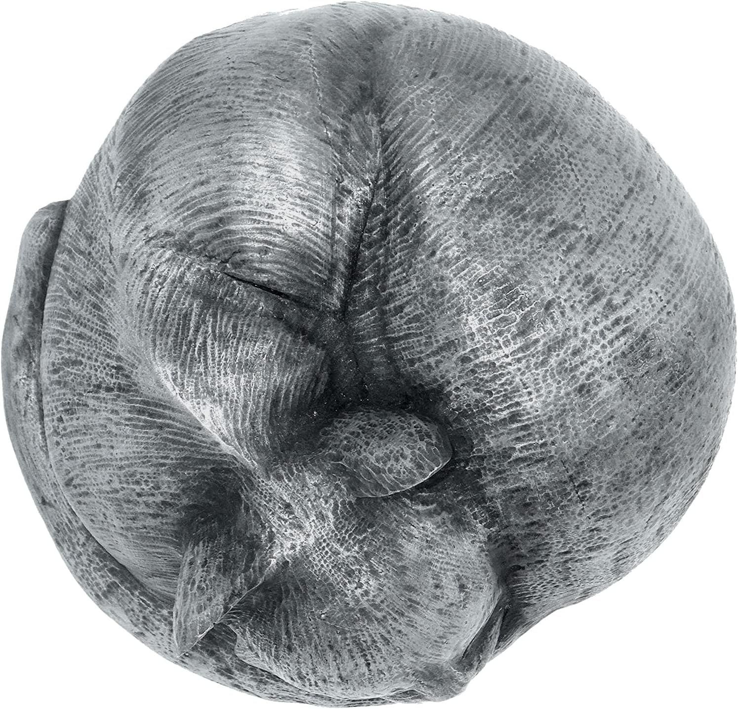 Rainbowbridge at Peace Cat Urn for Ashes - Handcrafted Cat Memorial - Pet Urn Suitable for Indoor & Outdoor Use image number 4