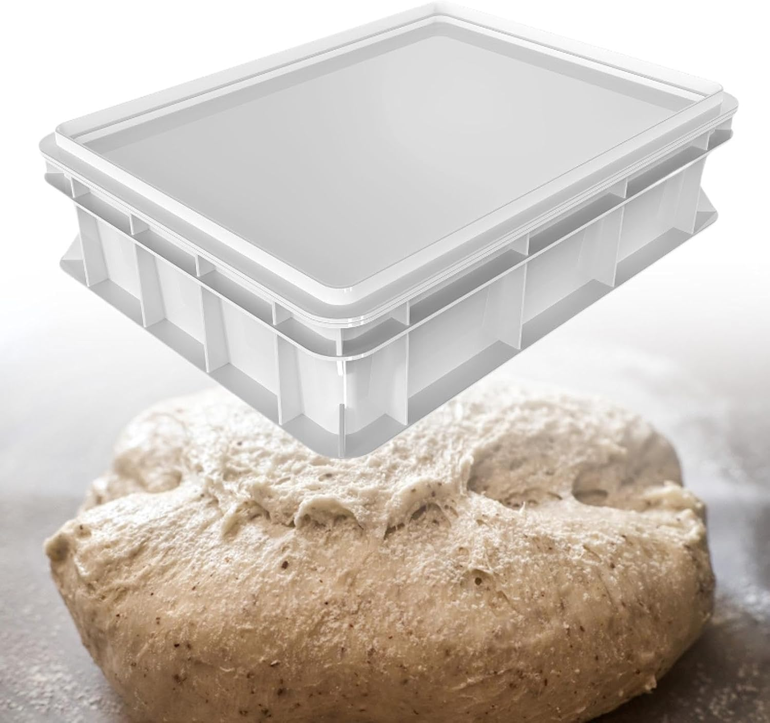 Qianly Dough Proofing Box Pizza Dough Containers with Lid Multipurpose for Household Kitchen, 30Cmx40Cmx10Cm
