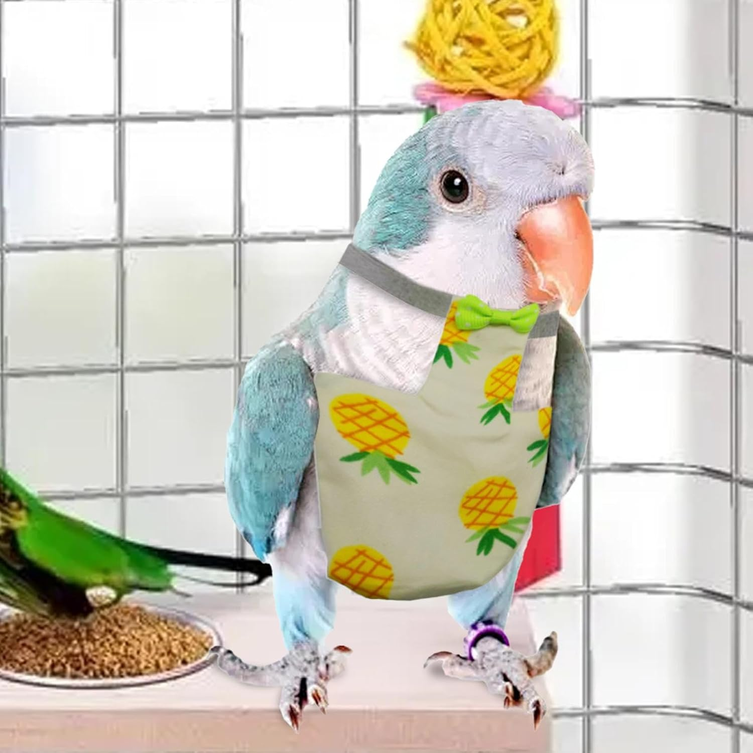 Hkuoeue Pigeon Bird Diaper | Clothes Reusable Washable Parrot Diaper | 2X Training Nappy Pet Supplies, Soft Liners Leak-Proof for Parakeet Cockatiel Macaw Pigeon image number 3