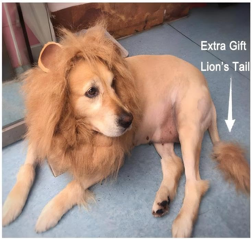 Lion Mane Wig for Dog and Cat Costume Ear and Tail Funny for Medium to Large Sized Dog Golden Retriever Halloween Lion Costumes image number 6