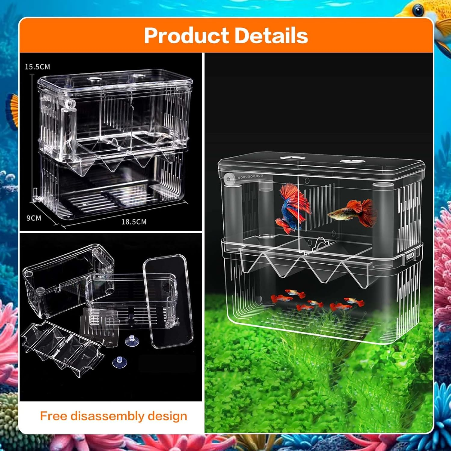 SUSOO Large 4 Hole Aquarium Fish Breeding Box, Safe 2Mm Baby Fish Hatchery Box with Removable Double Isolation Divider Hatching, Dual Feeding Holes and Extra Aeration Pipe Design（18.5Cmx9Cmx15.5Cm） image number 4
