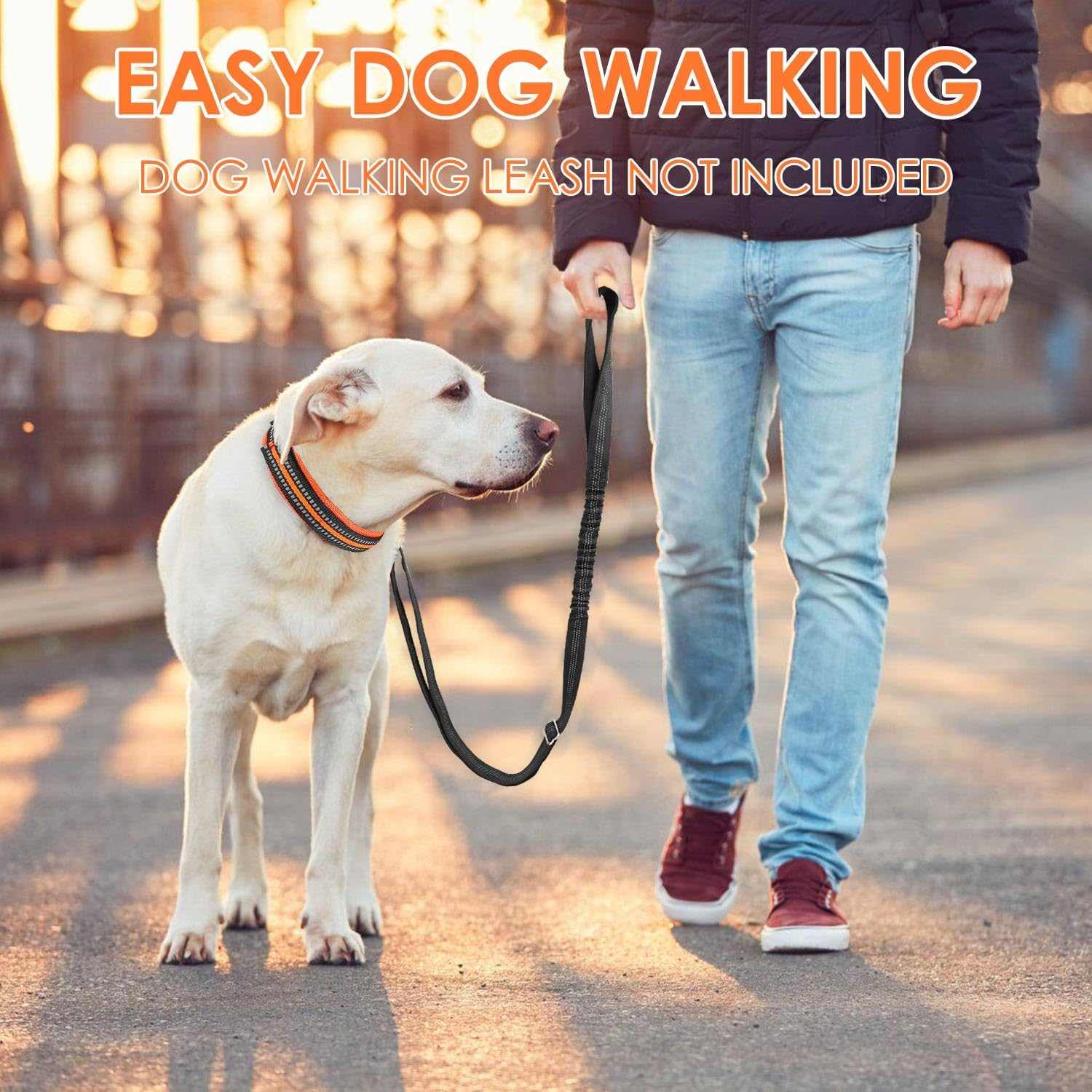 AUTOWT Reflective Dog Collar, Soft Neoprene Padded Breathable Nylon Pet Collar, Adjustable Classic Puppy Collars with Safety Locking Buckle for Small Medium Dogs Walking (Orange, S) - Orange image number 4