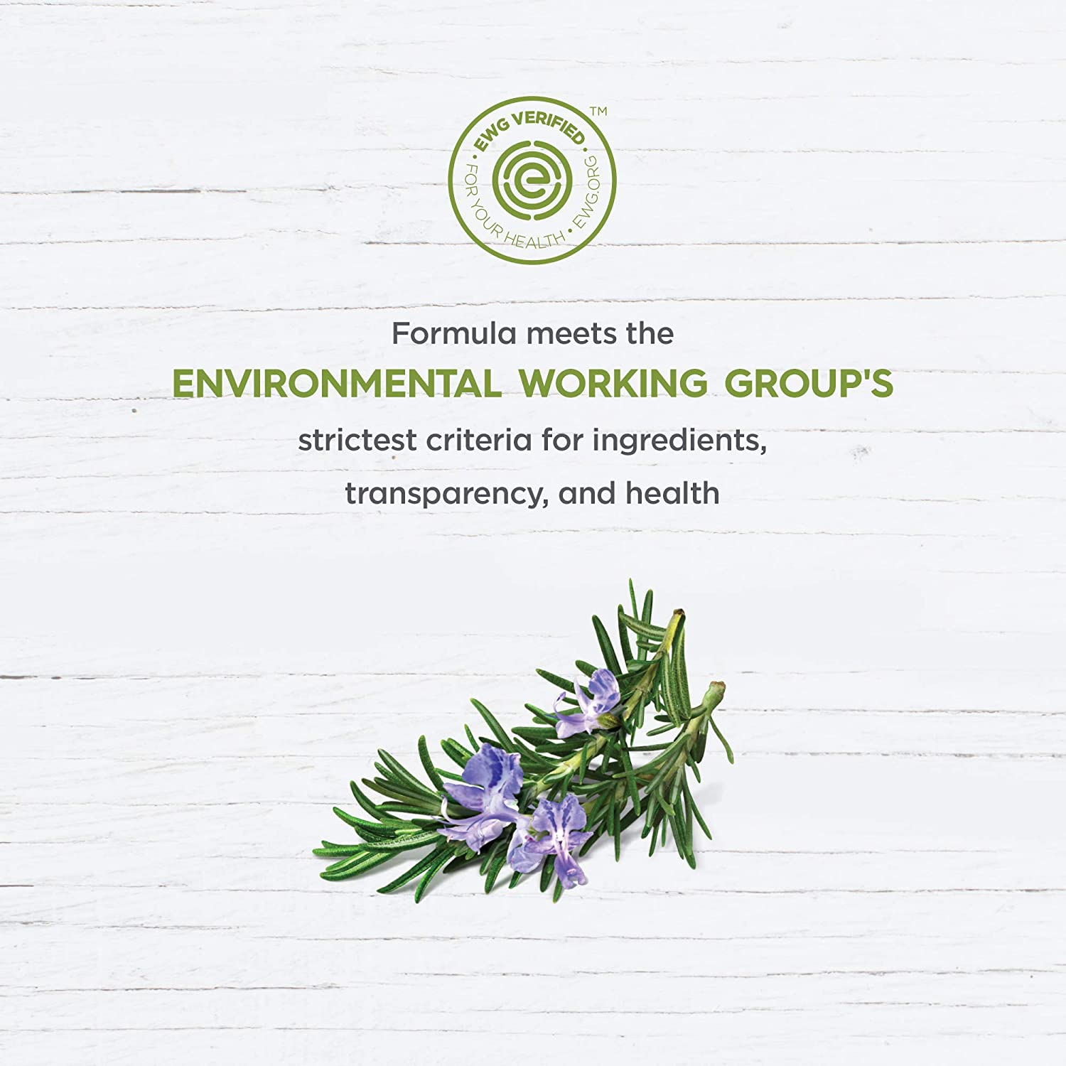 Avalon Organics Scalp Normalizing Therapy Tea Tree Mint Shampoo, 14 Ounce image number 3