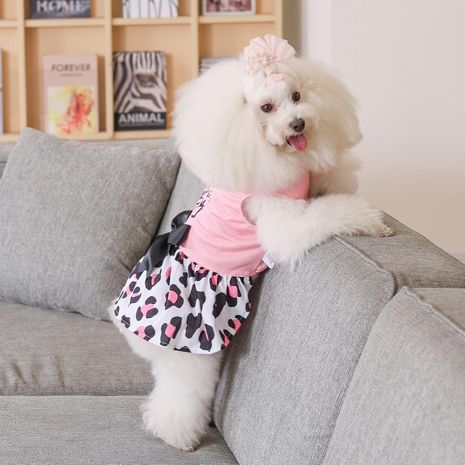 Cutebone Dog Mesh Dress Puppy Sundress Pet Outfit Summer Fashion for Small Dogs Girl Cat Clothes BF30XS-D-AU