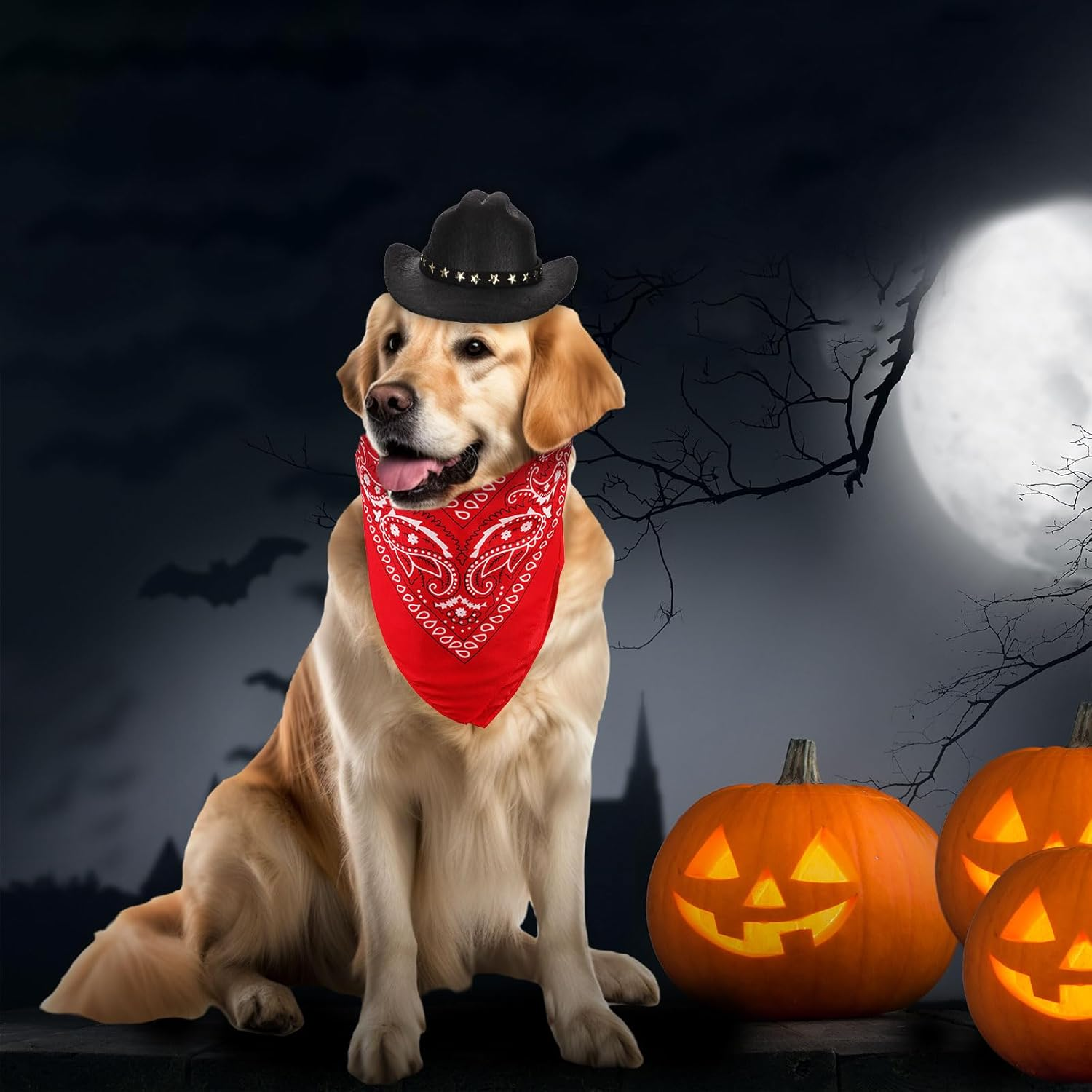 PEUTIER Pet Cowboy Costume, Dog Cowboy Hat & Dog Bandana Scarf Dog Halloween Costumes Outfit Accessories for Small Cats Dogs Pets (Black, Red) image number 1